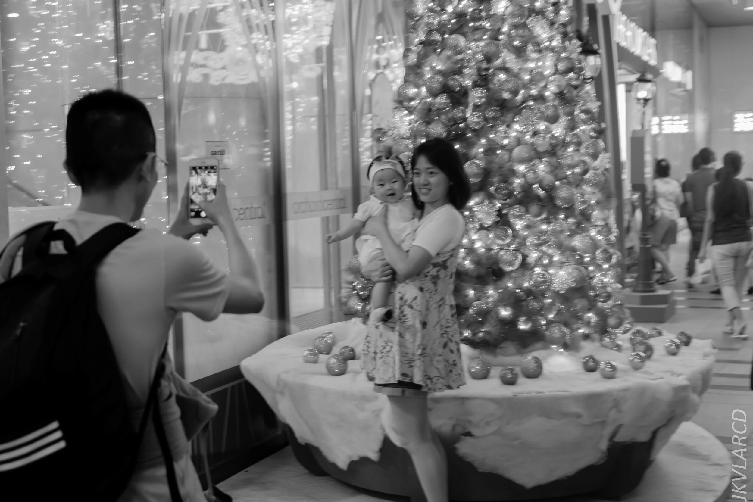 EOS 7D Mark II_2018_12_01_9924.jpg