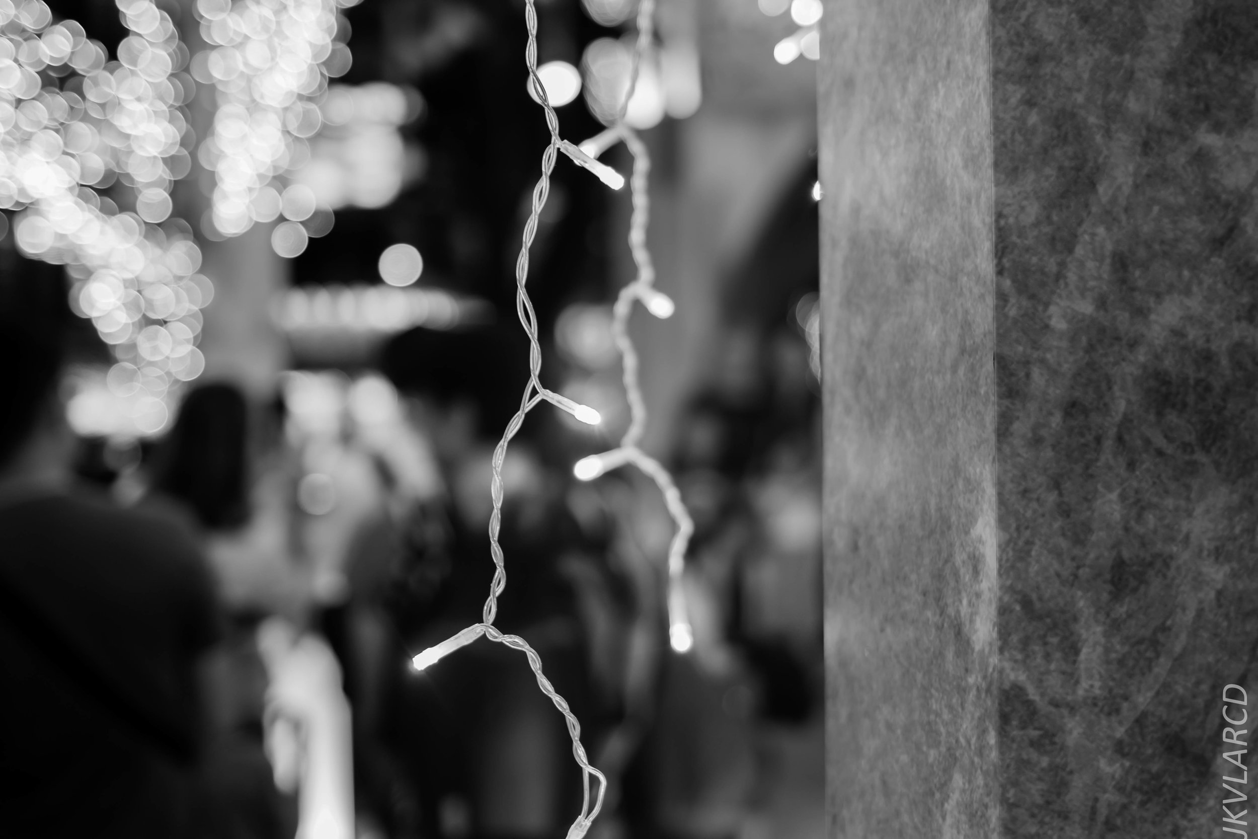 EOS 7D Mark II_2018_12_01_9934.jpg