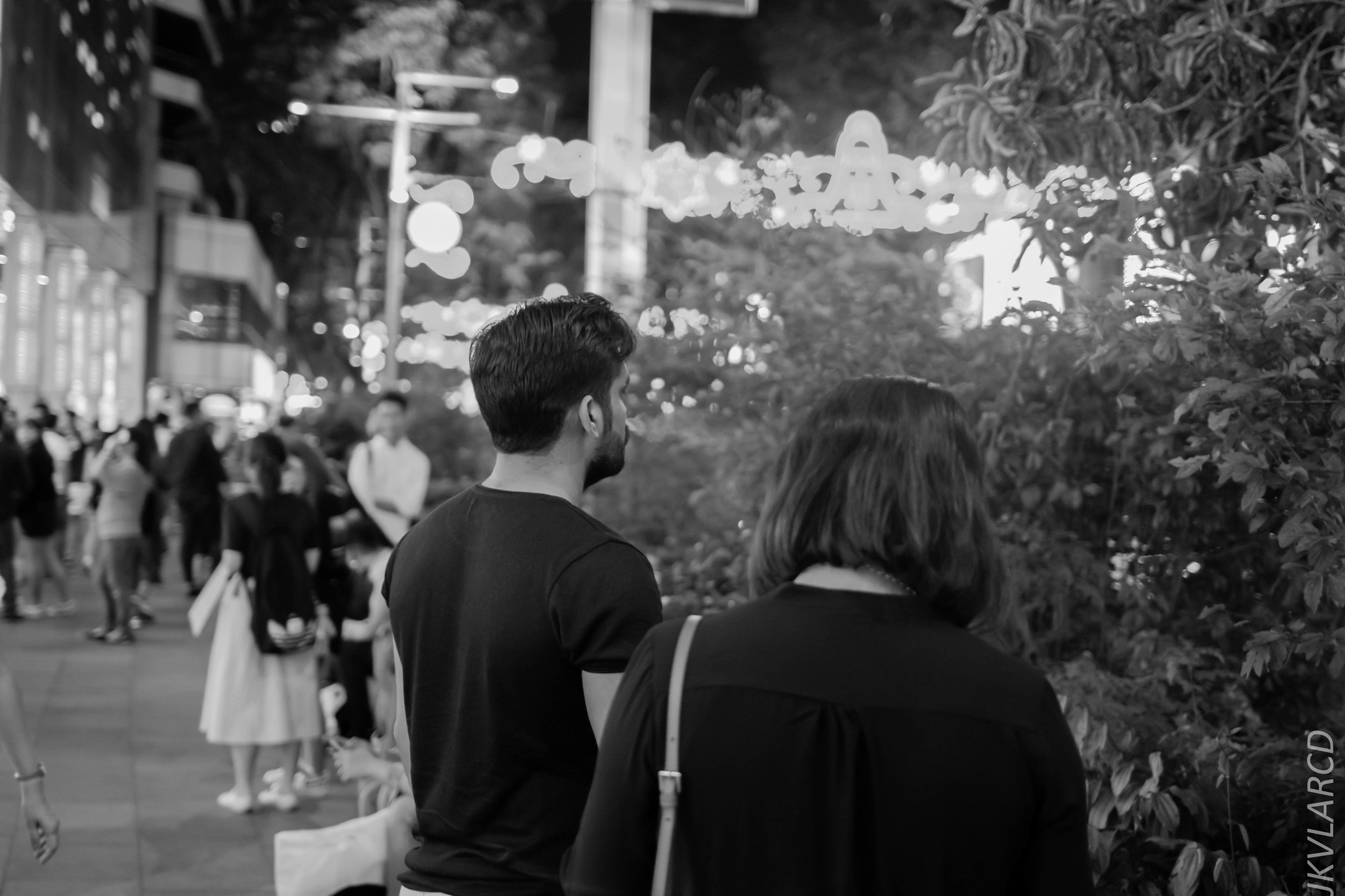 EOS 7D Mark II_2018_12_01_9938.jpg