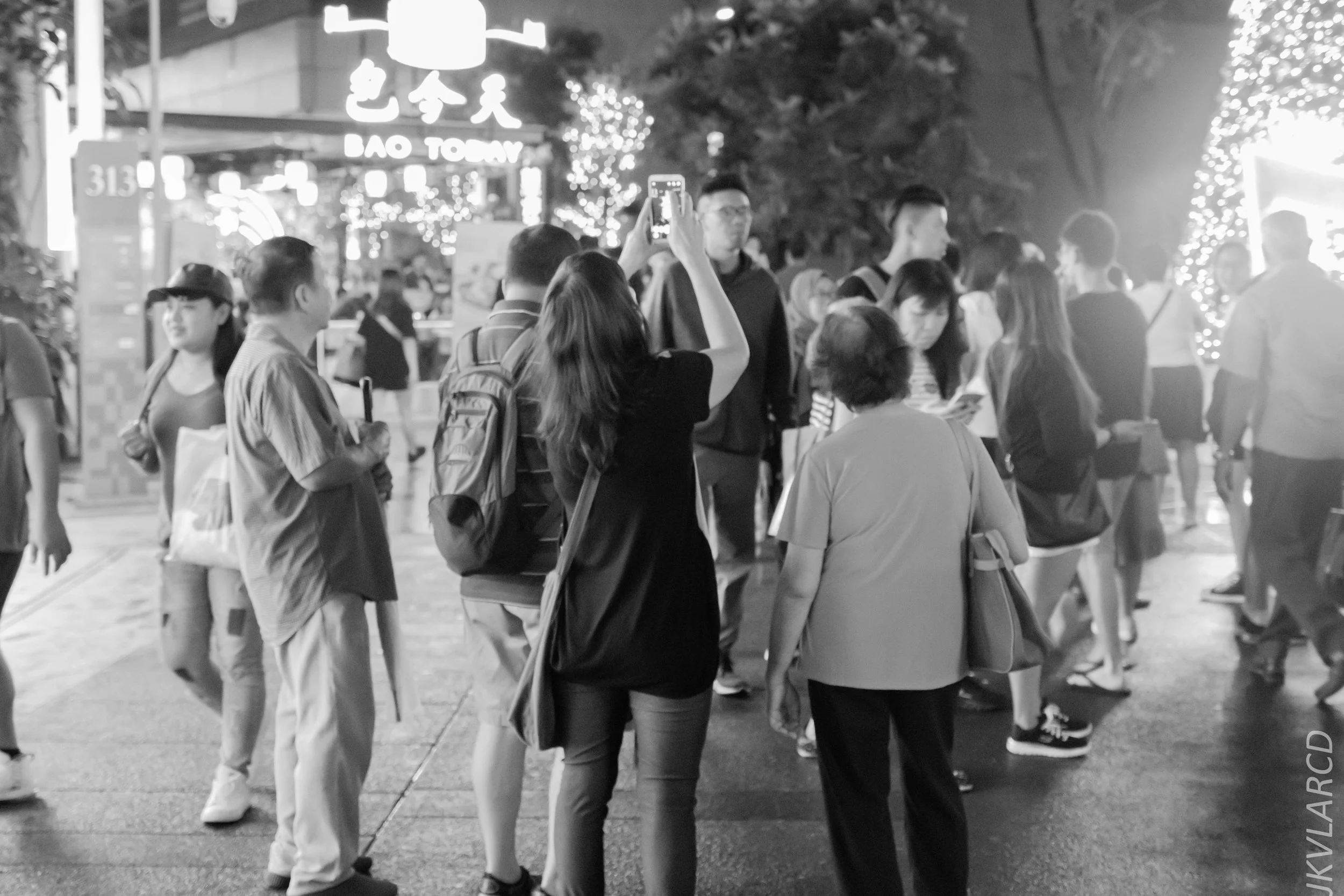 EOS 7D Mark II_2018_12_01_9944.jpg