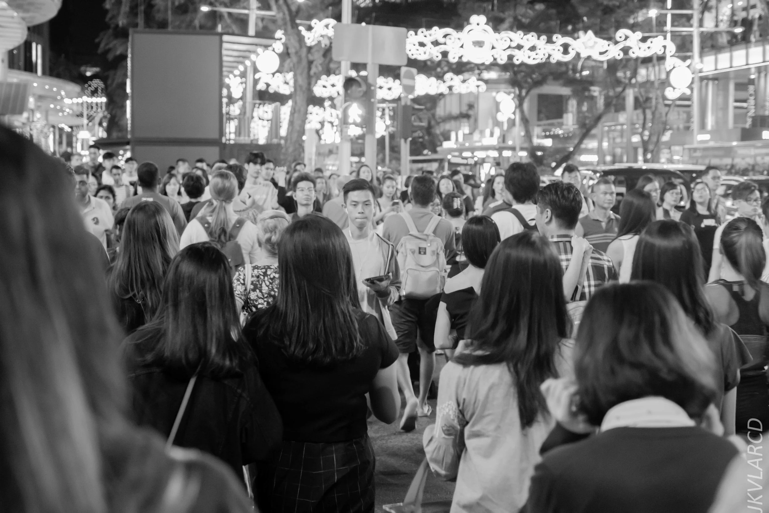 EOS 7D Mark II_2018_12_01_9948.jpg