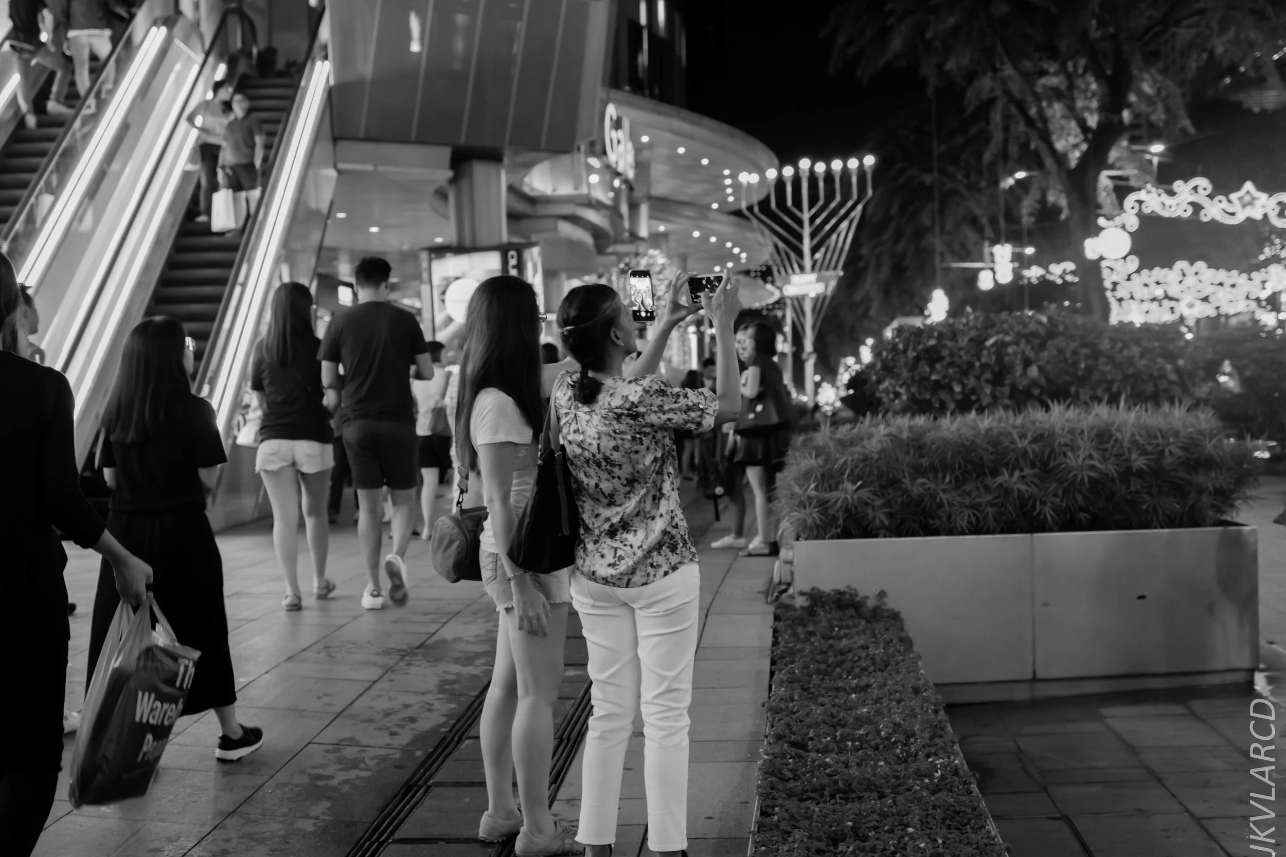 EOS 7D Mark II_2018_12_01_9949.jpg