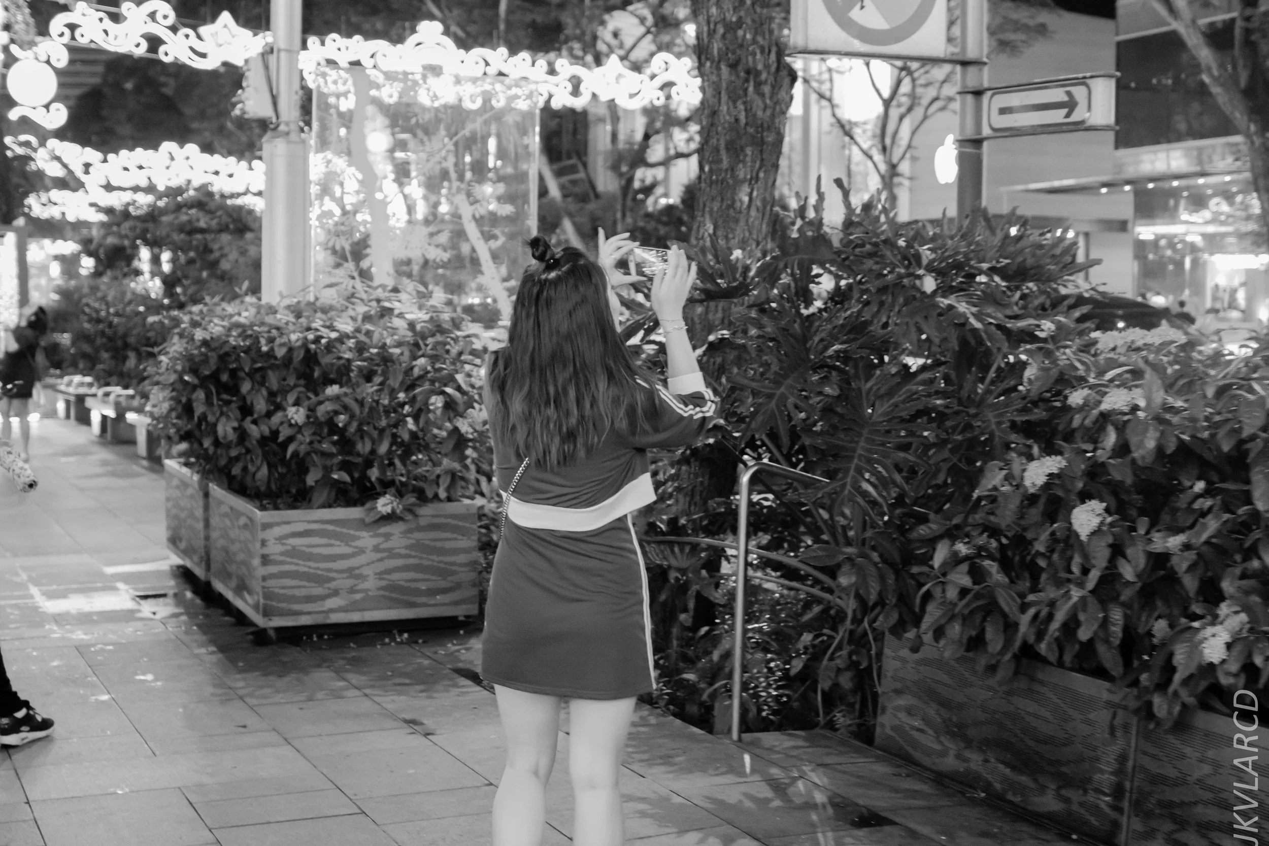 EOS 7D Mark II_2018_12_01_9952.jpg