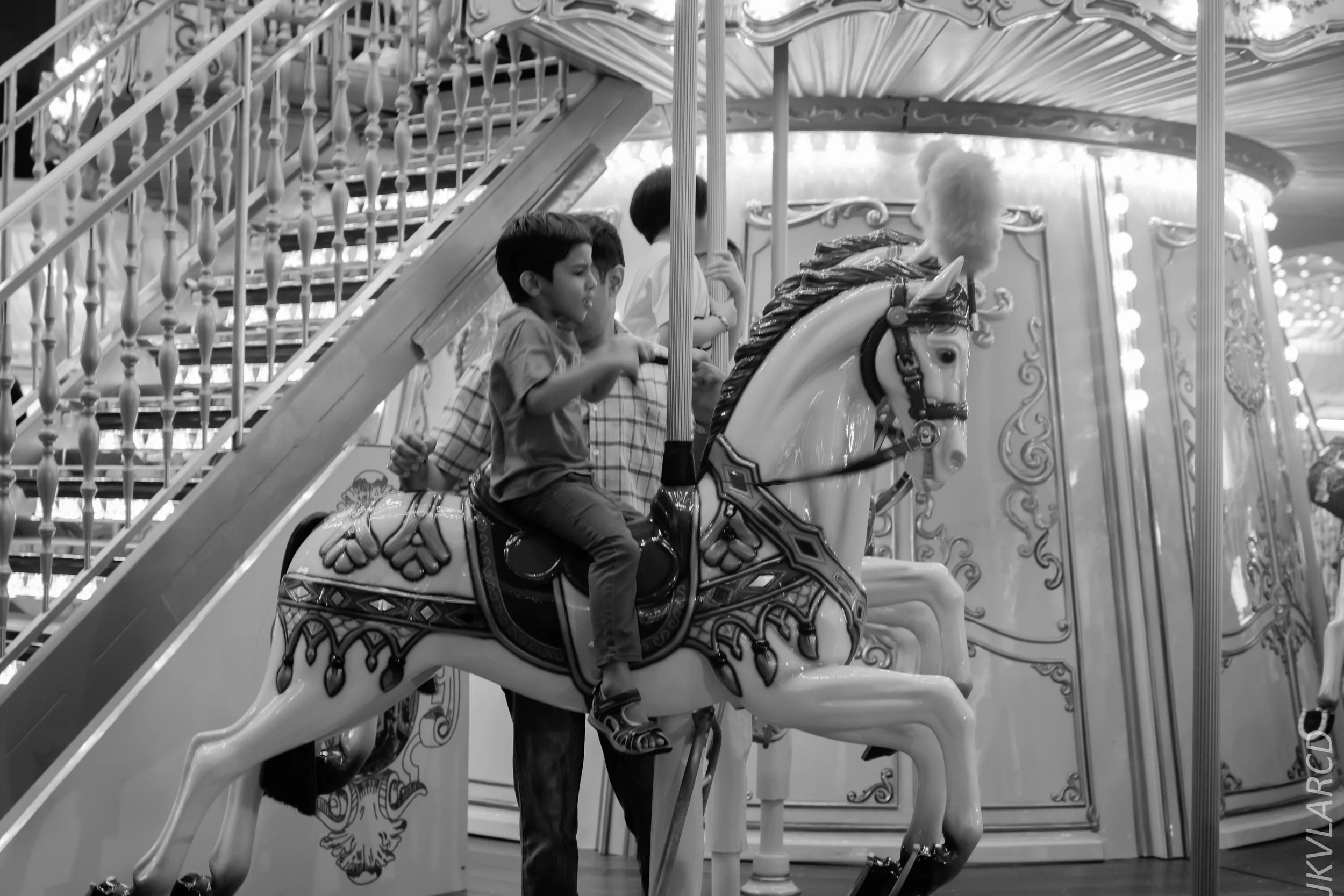 EOS 7D Mark II_2018_12_01_9976.jpg