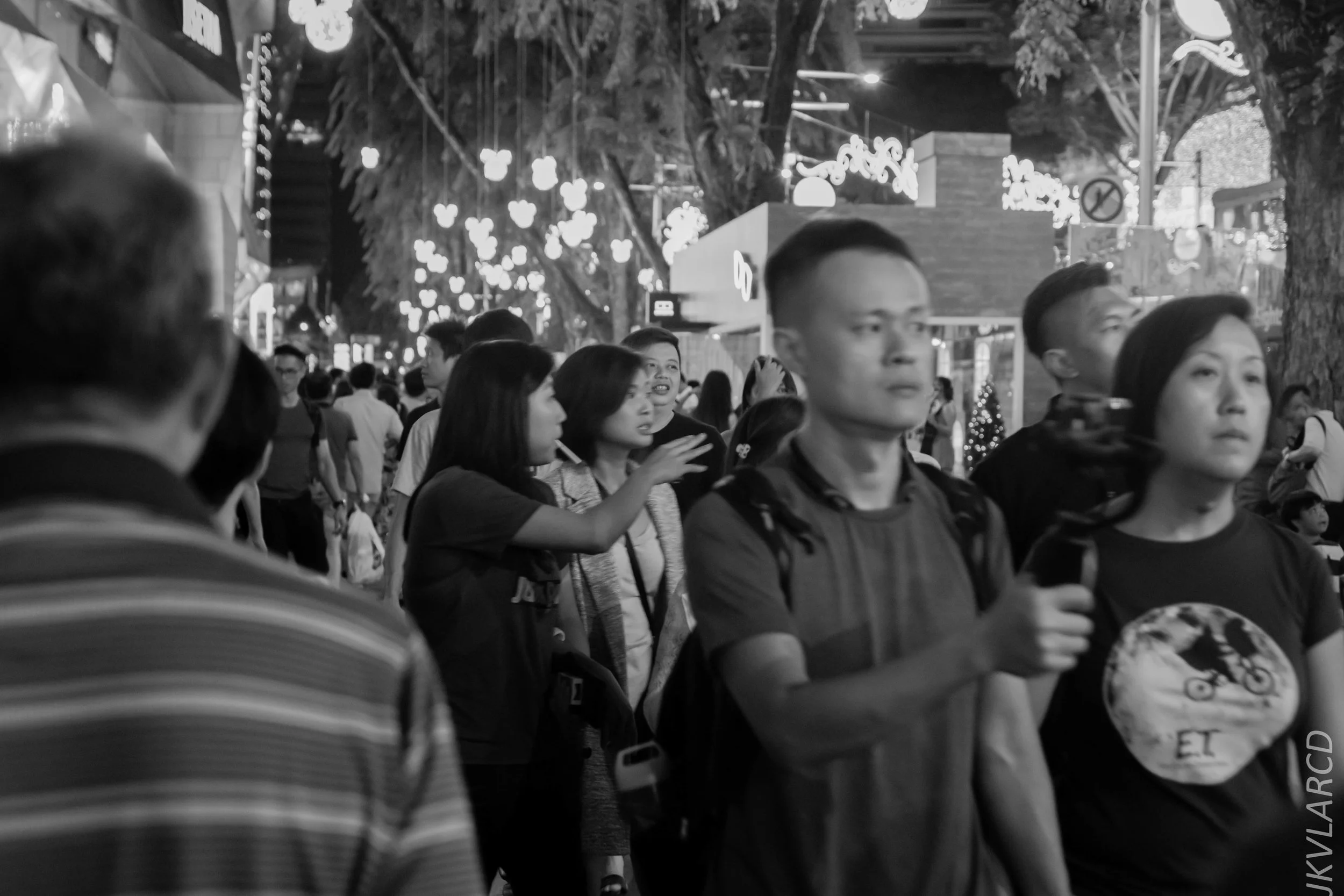 EOS 7D Mark II_2018_12_01_9986.jpg