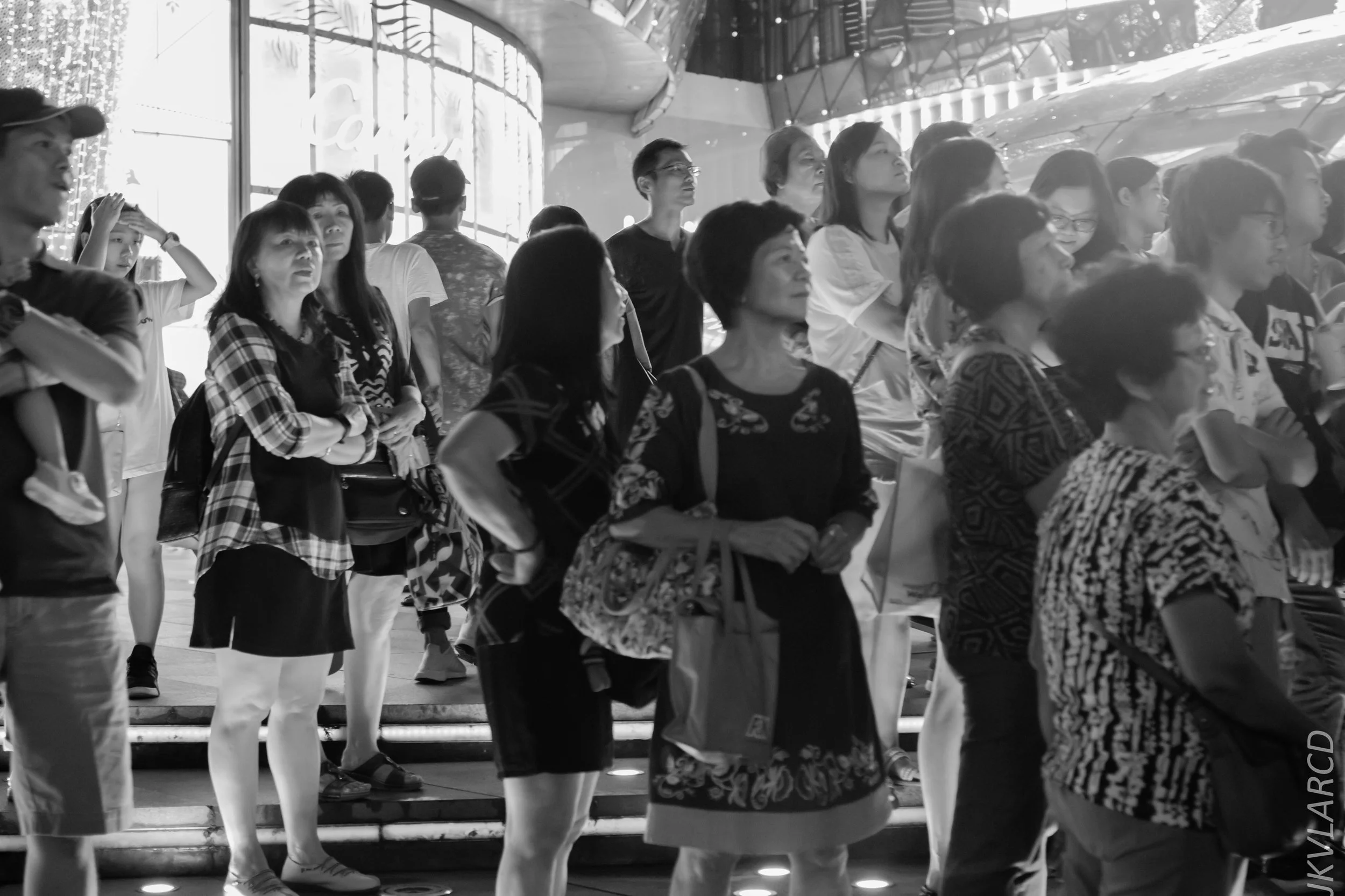 EOS 7D Mark II_2018_12_01_0004.jpg