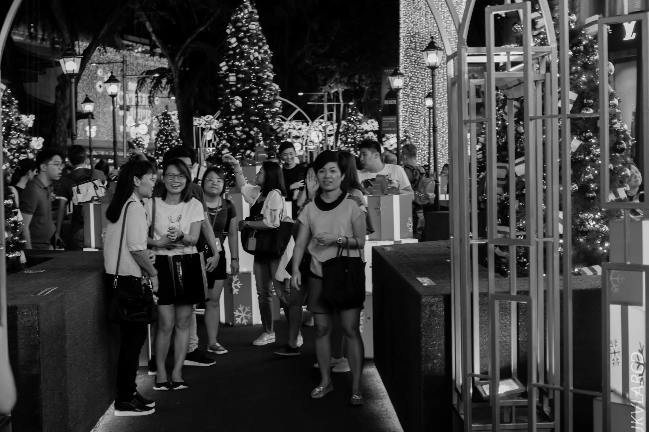 EOS 7D Mark II_2018_12_01_0009.jpg