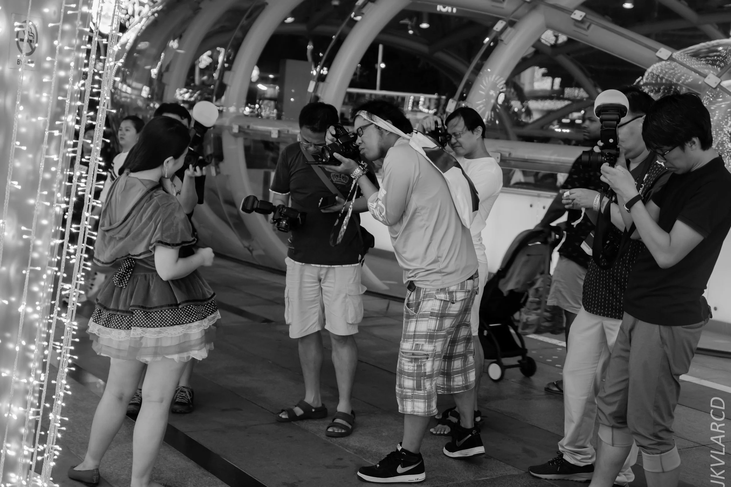 EOS 7D Mark II_2018_12_01_0012.jpg