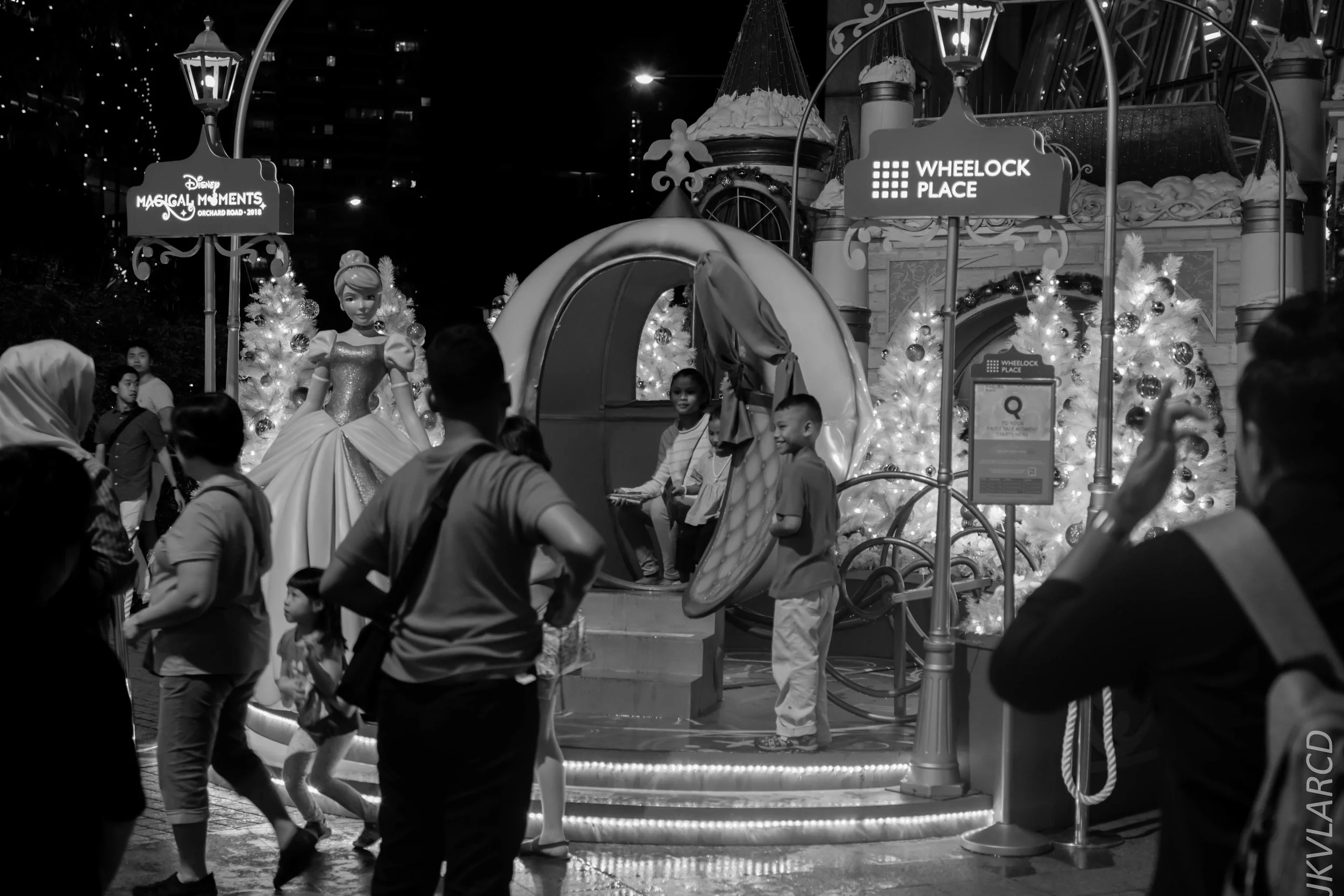 EOS 7D Mark II_2018_12_01_0018.jpg