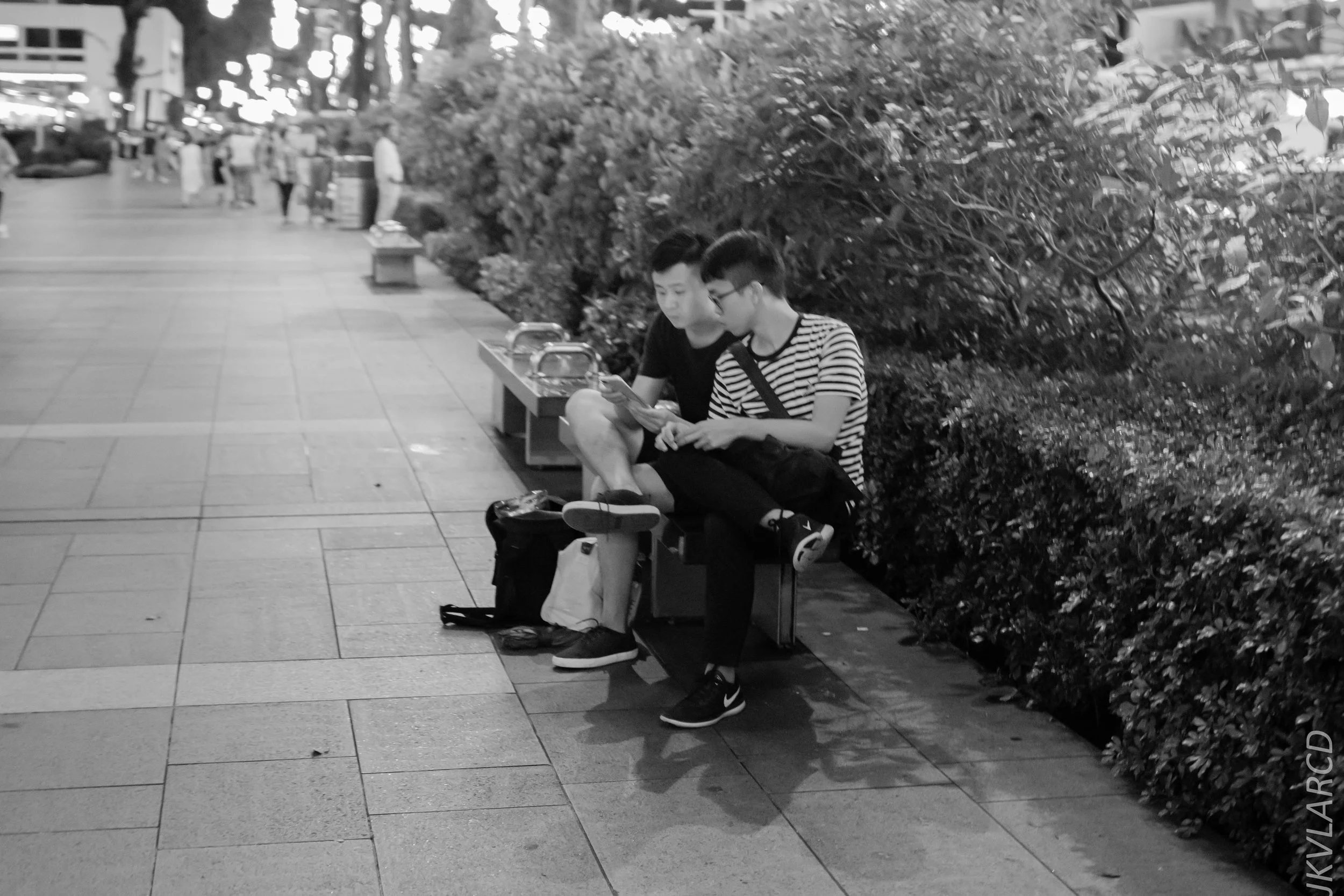 EOS 7D Mark II_2018_12_01_0027.jpg