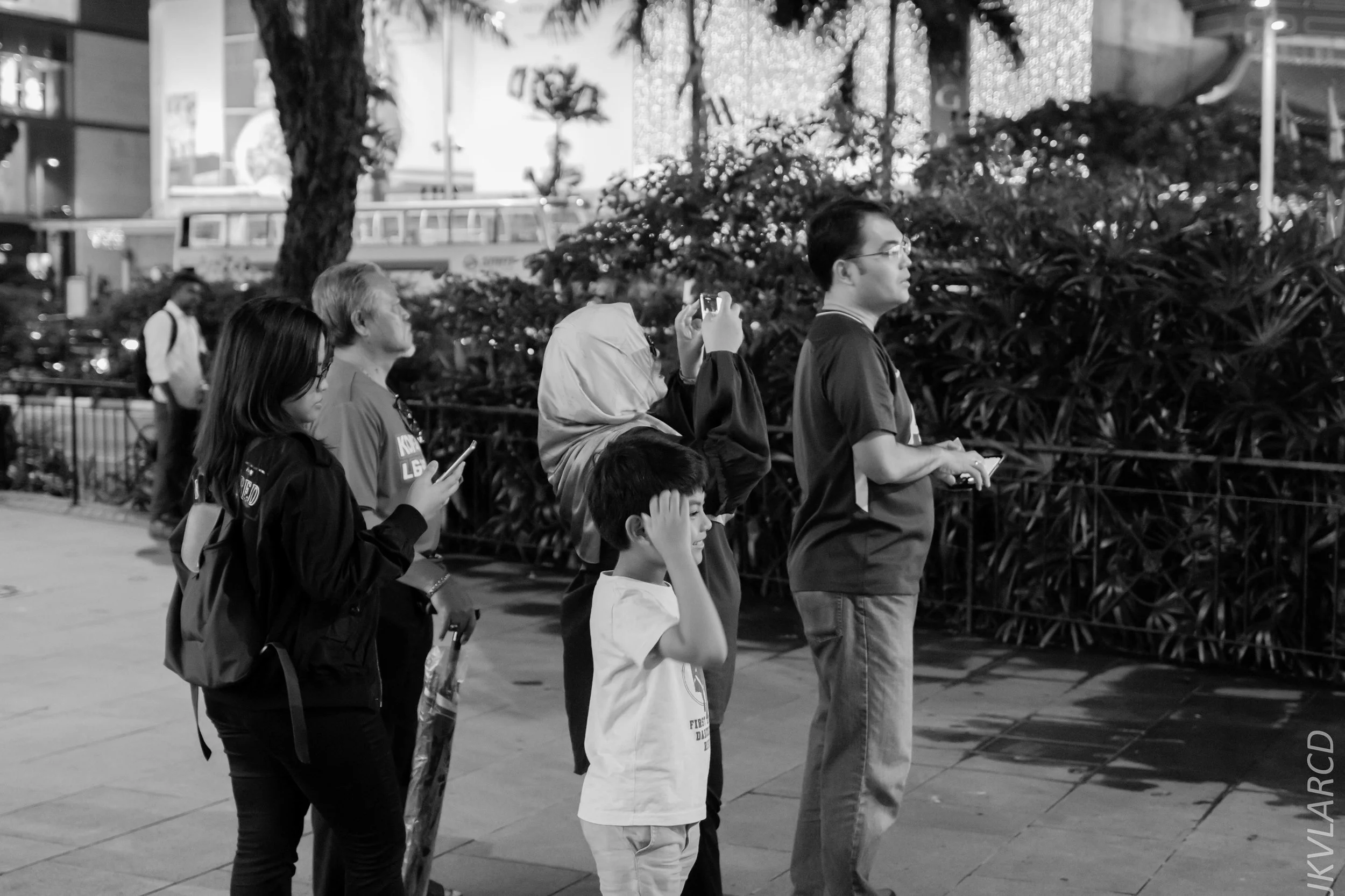 EOS 7D Mark II_2018_12_01_0039.jpg