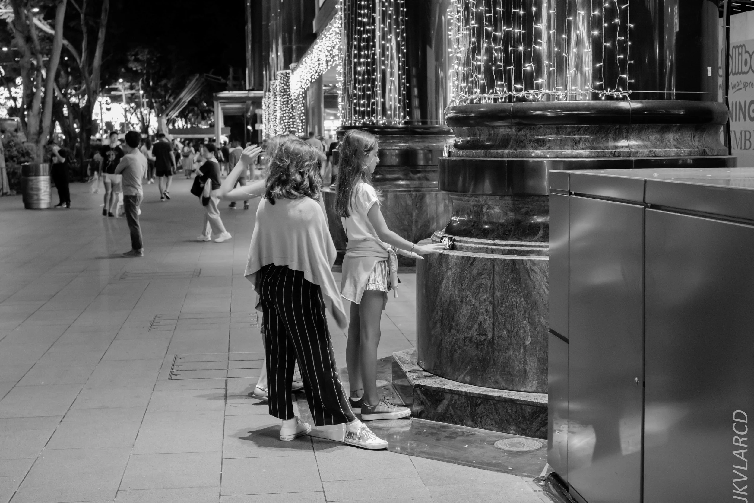 EOS 7D Mark II_2018_12_01_0045.jpg