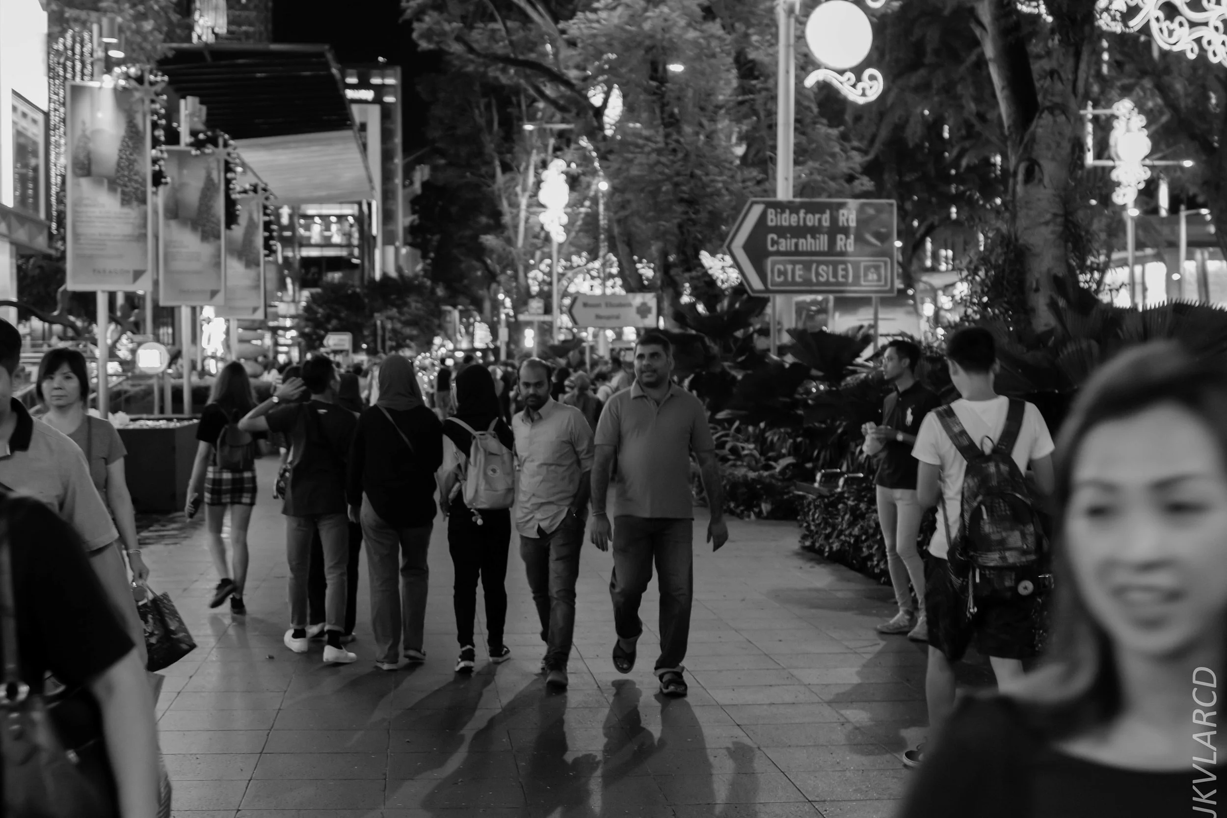 EOS 7D Mark II_2018_12_01_0059.jpg