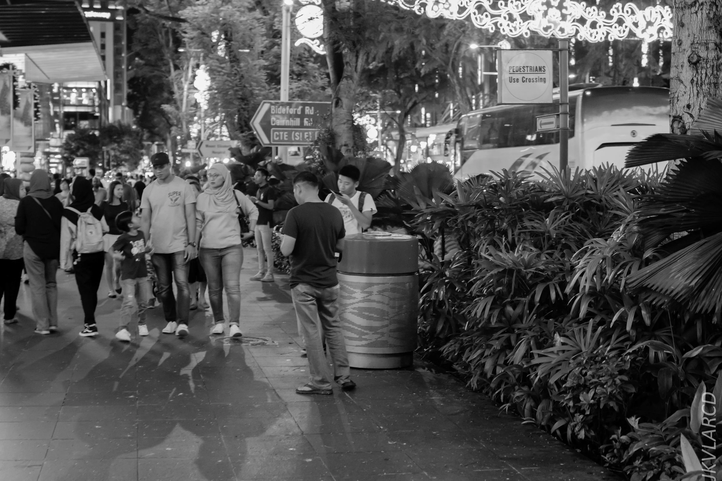 EOS 7D Mark II_2018_12_01_0058.jpg