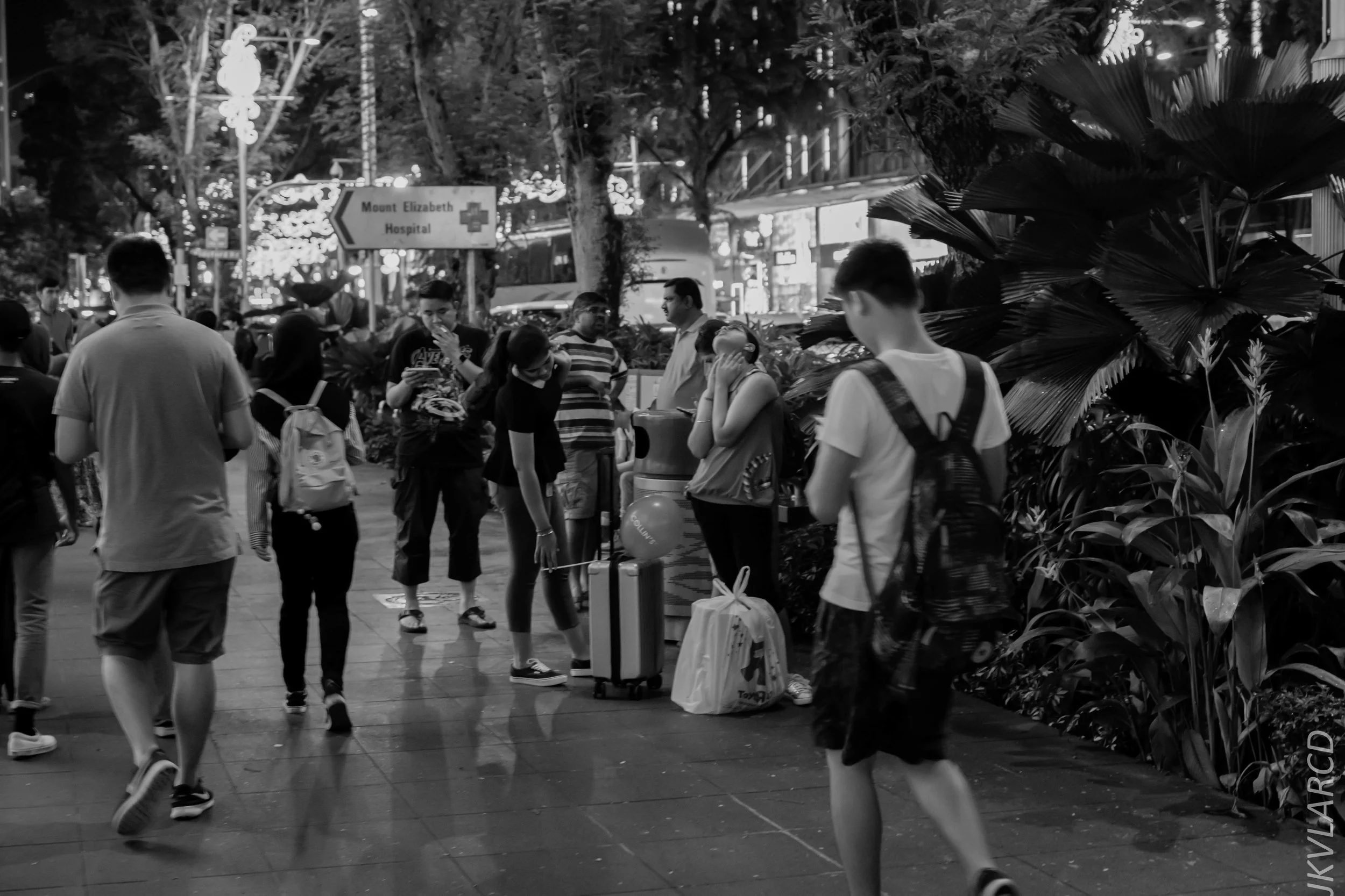 EOS 7D Mark II_2018_12_01_0060.jpg