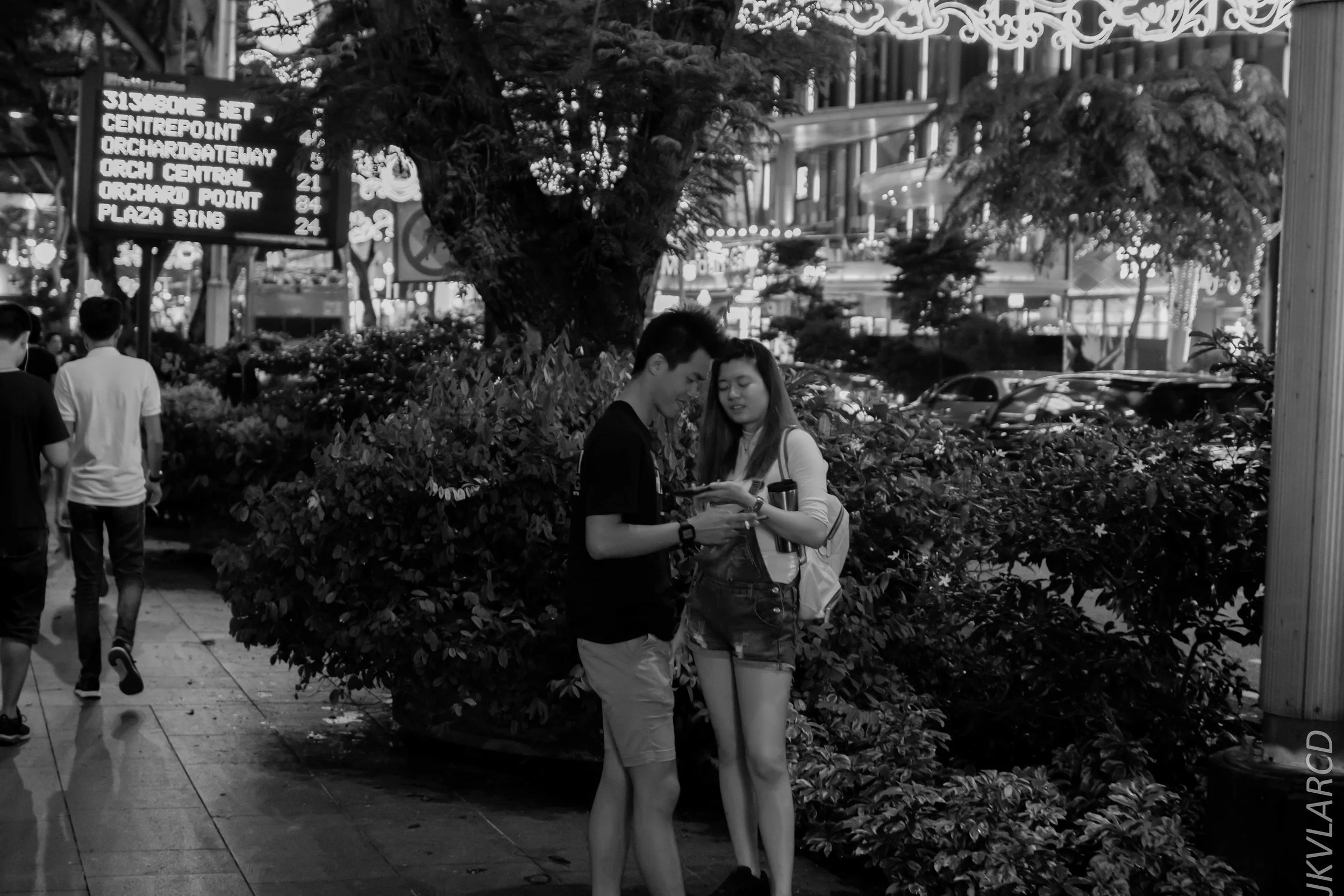 EOS 7D Mark II_2018_12_01_0065.jpg