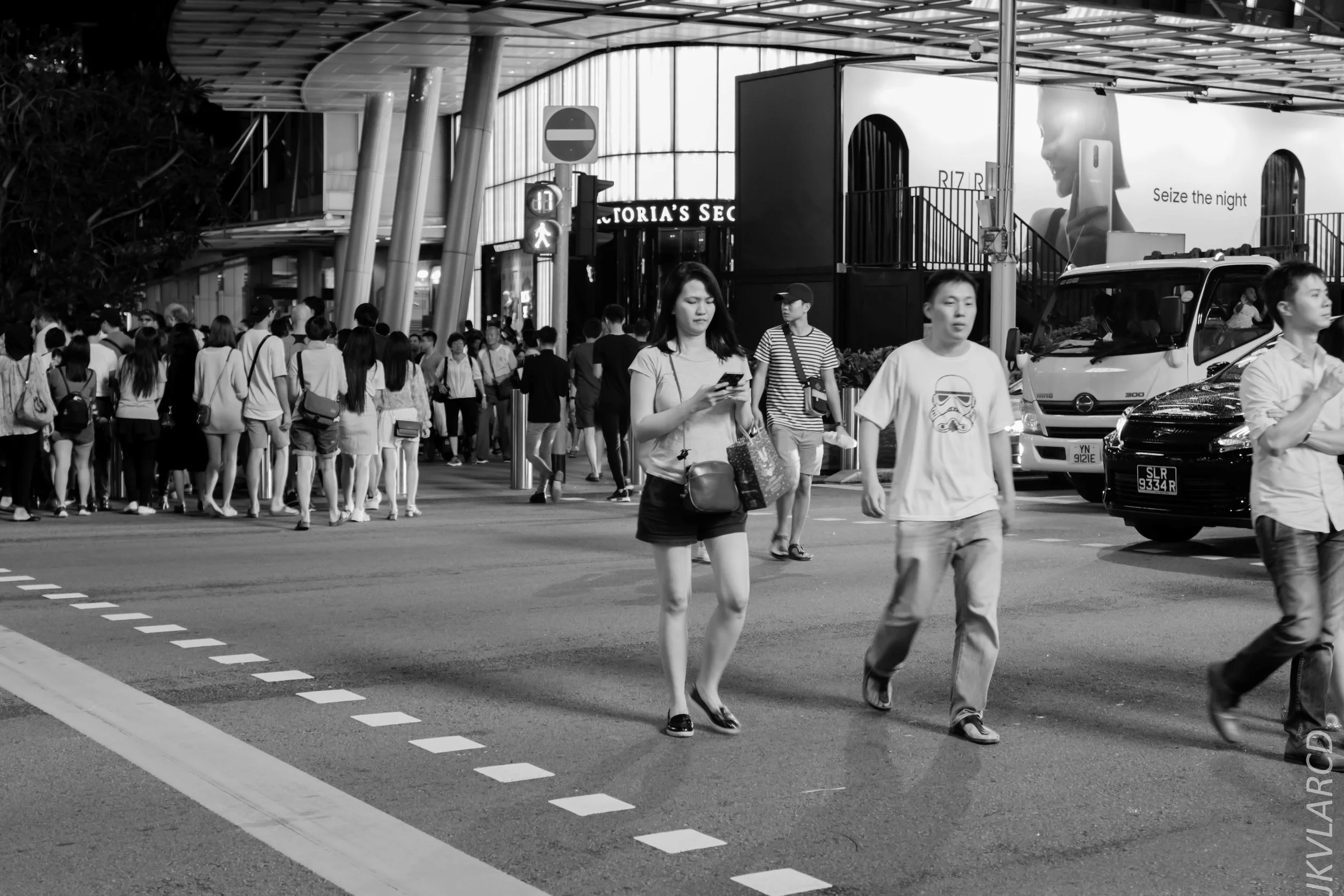 EOS 7D Mark II_2018_12_01_0071.jpg