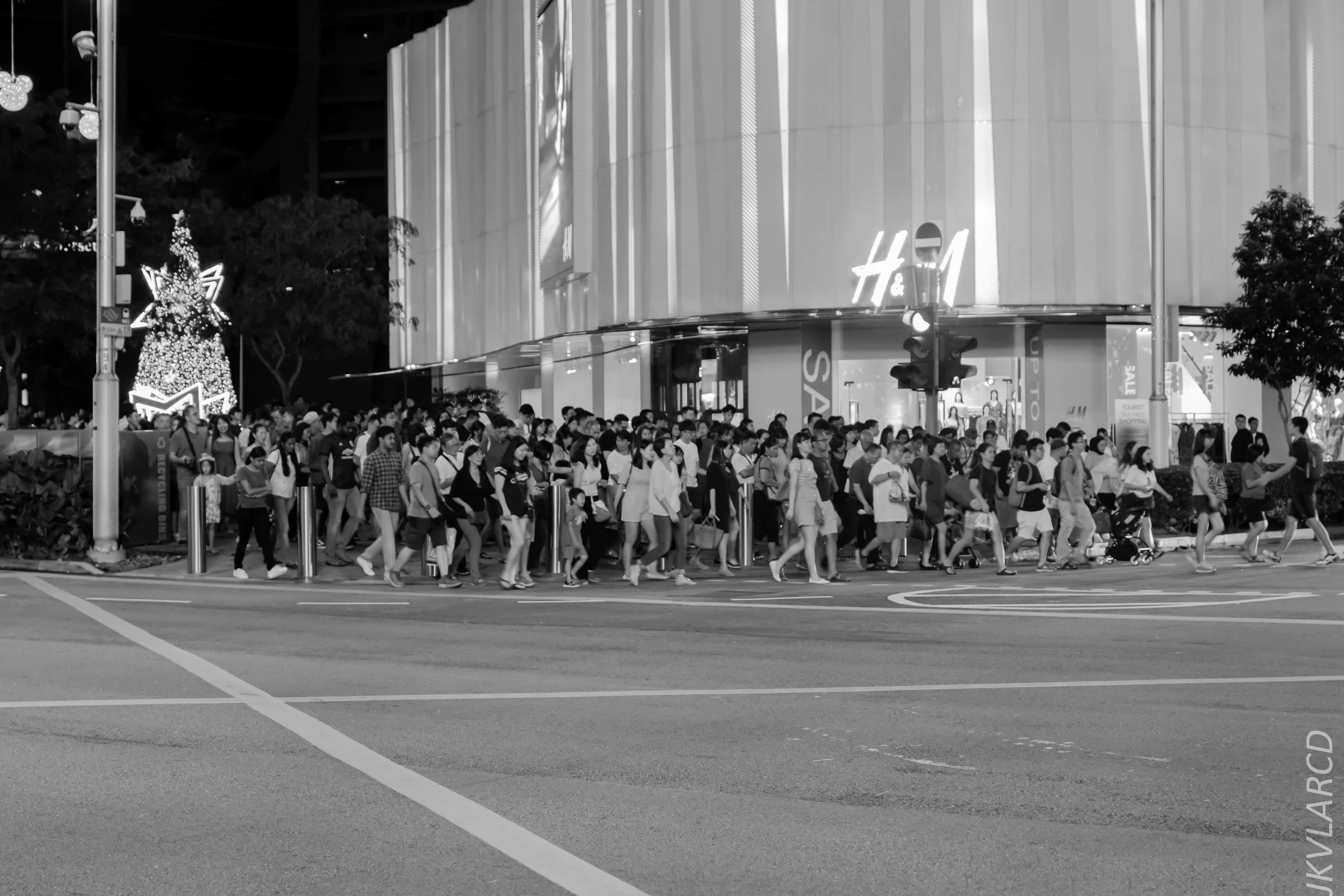 EOS 7D Mark II_2018_12_01_0074.jpg