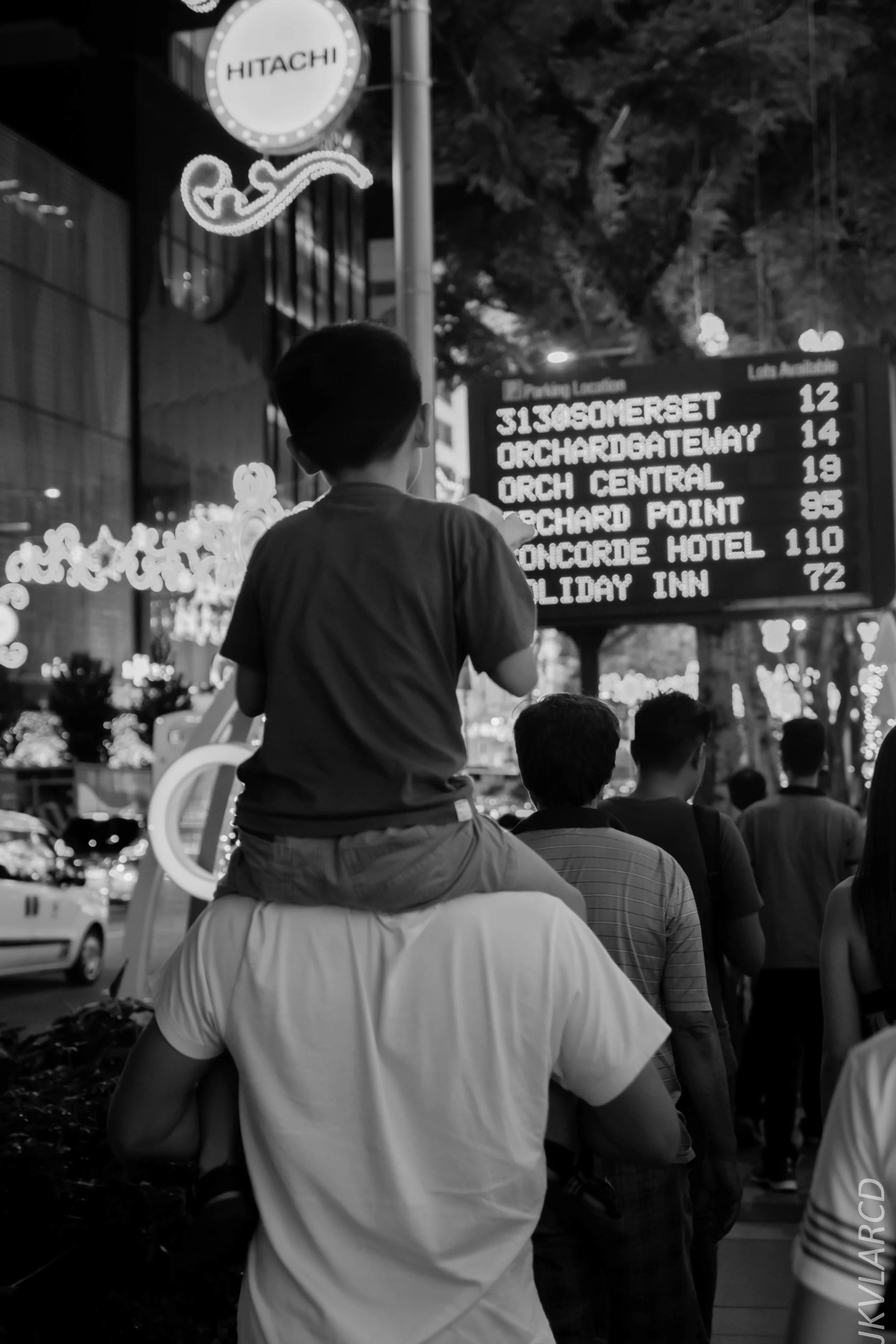 EOS 7D Mark II_2018_12_01_0081.jpg