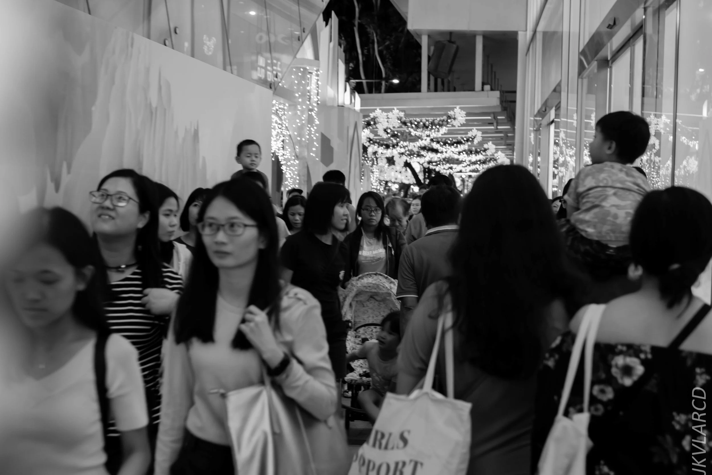 EOS 7D Mark II_2018_12_01_0083.jpg