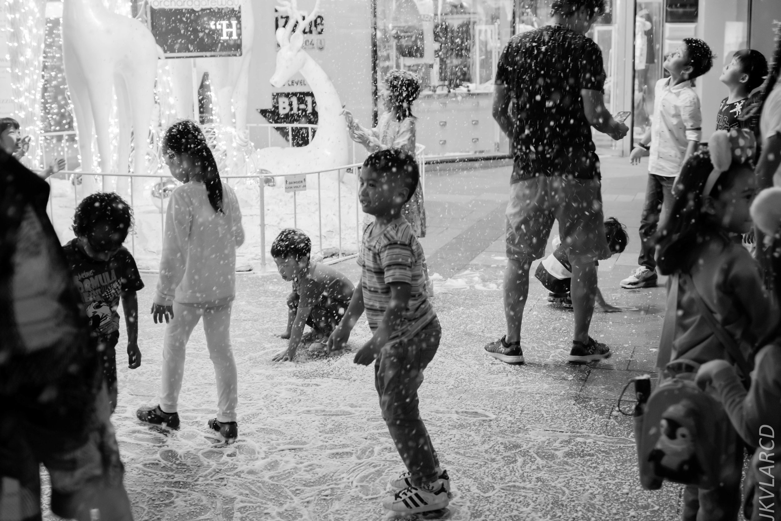 EOS 7D Mark II_2018_12_01_0100.jpg