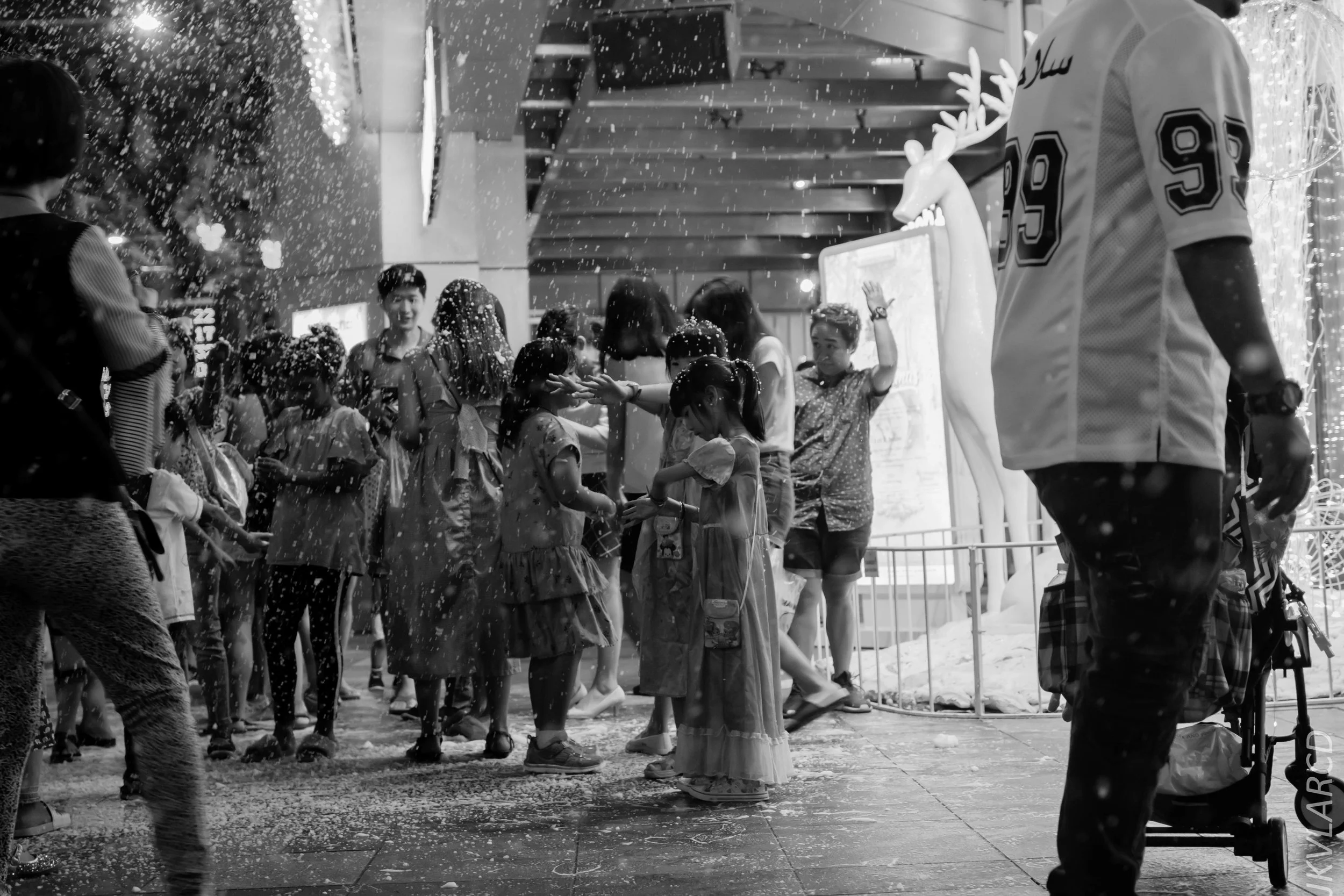 EOS 7D Mark II_2018_12_01_0105.jpg