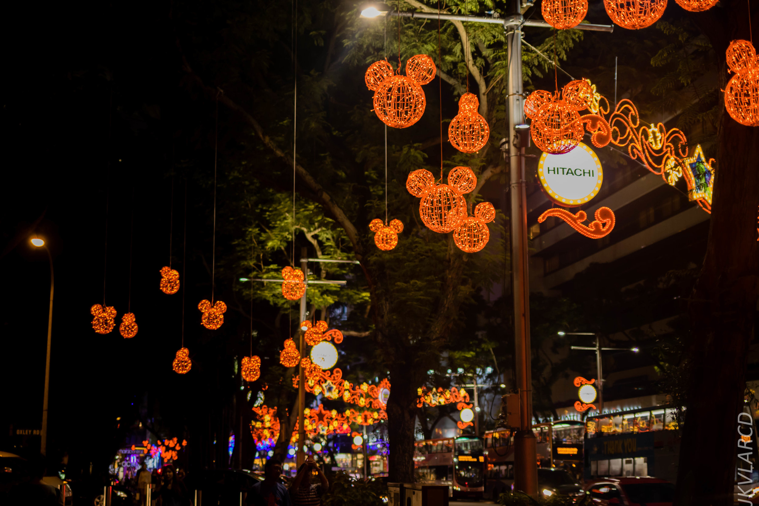 EOS 7D Mark II_2018_12_01_9901.jpg