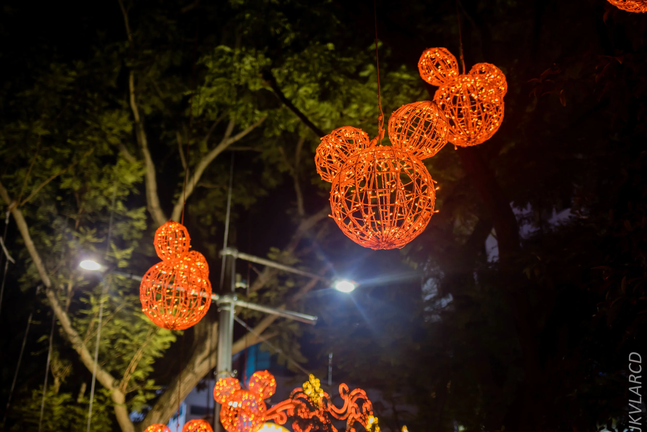 EOS 7D Mark II_2018_12_01_9904.jpg