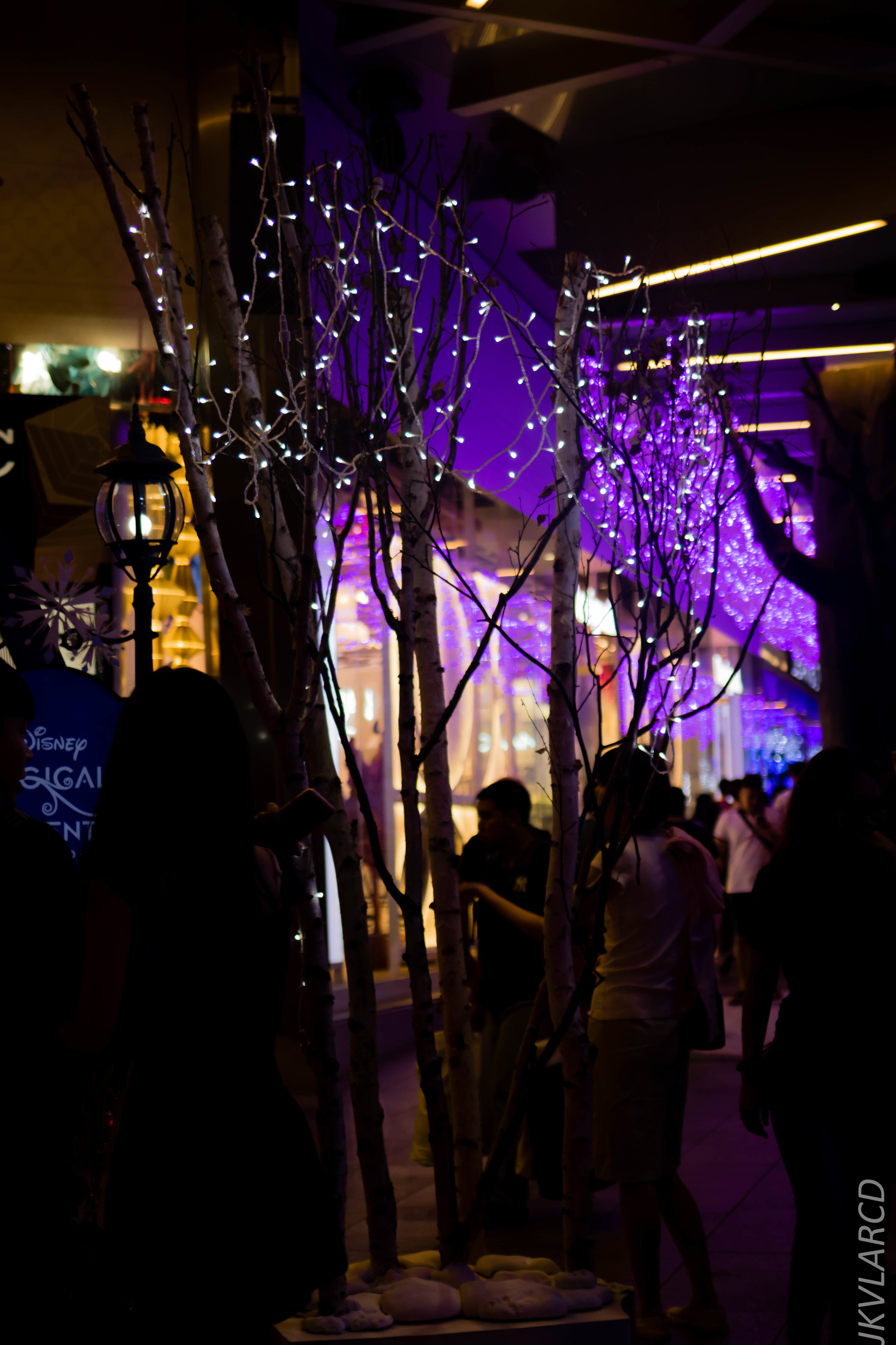 EOS 7D Mark II_2018_12_01_9912.jpg