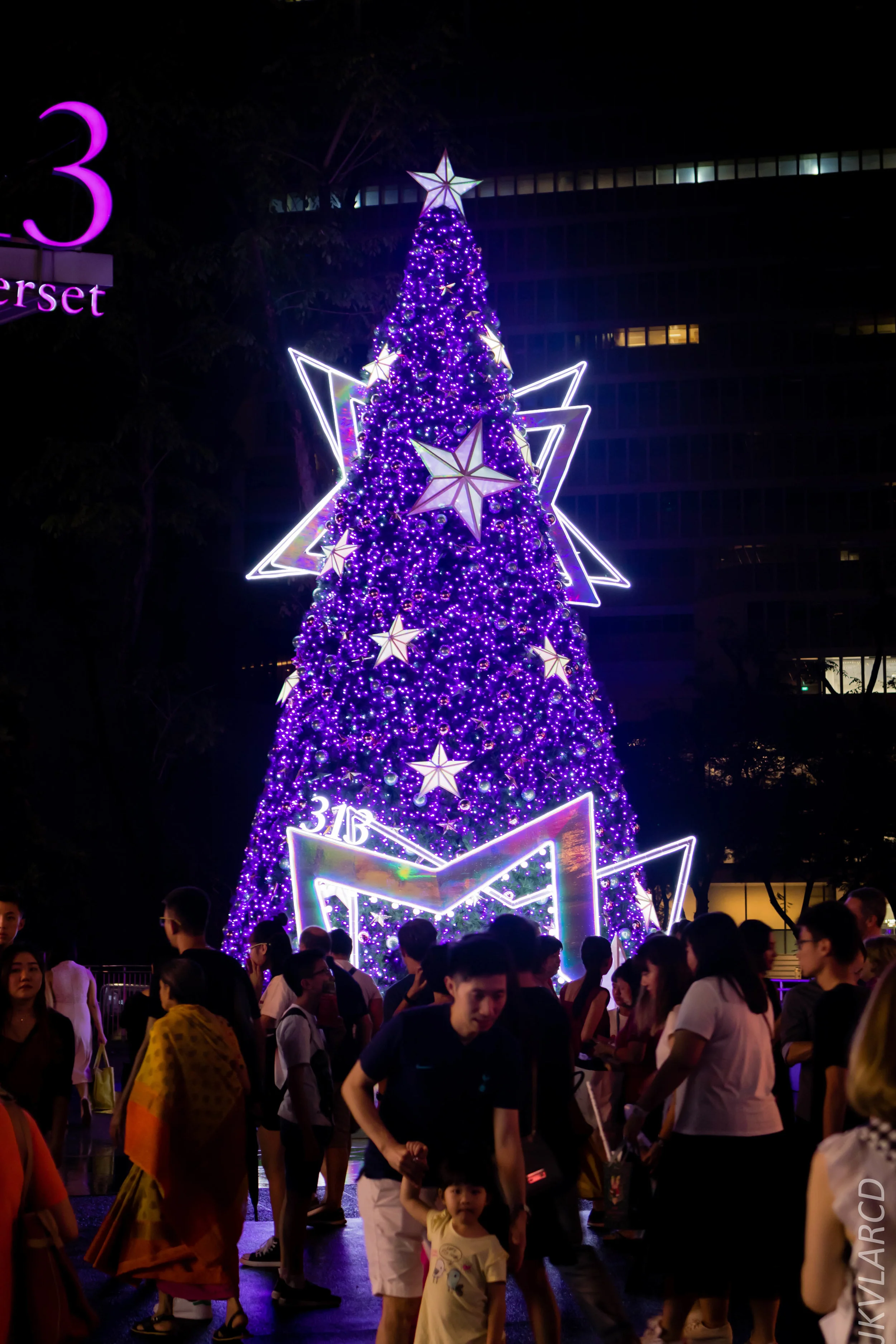 EOS 7D Mark II_2018_12_01_9943.jpg