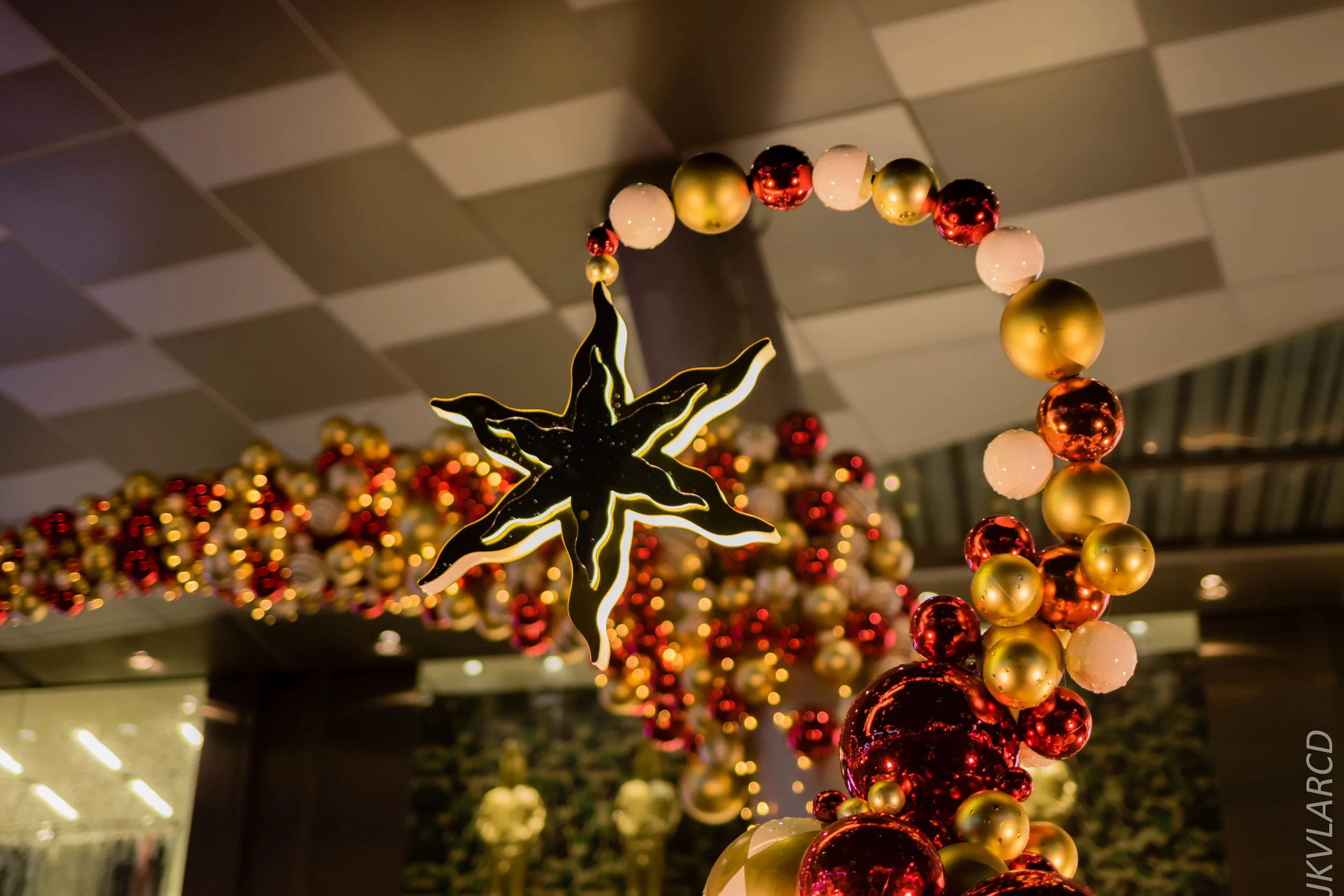 EOS 7D Mark II_2018_12_01_9958.jpg