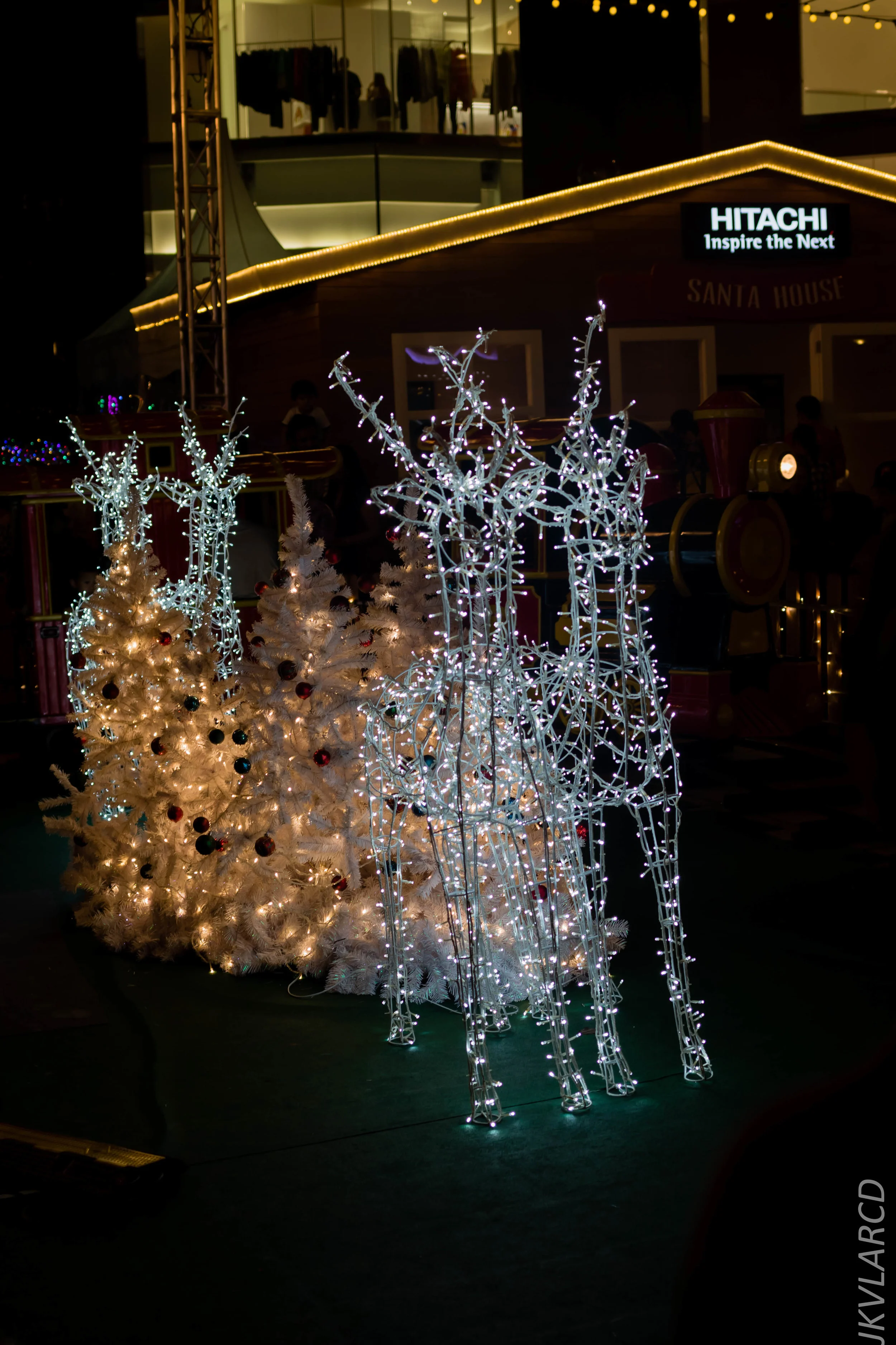 EOS 7D Mark II_2018_12_01_9975.jpg