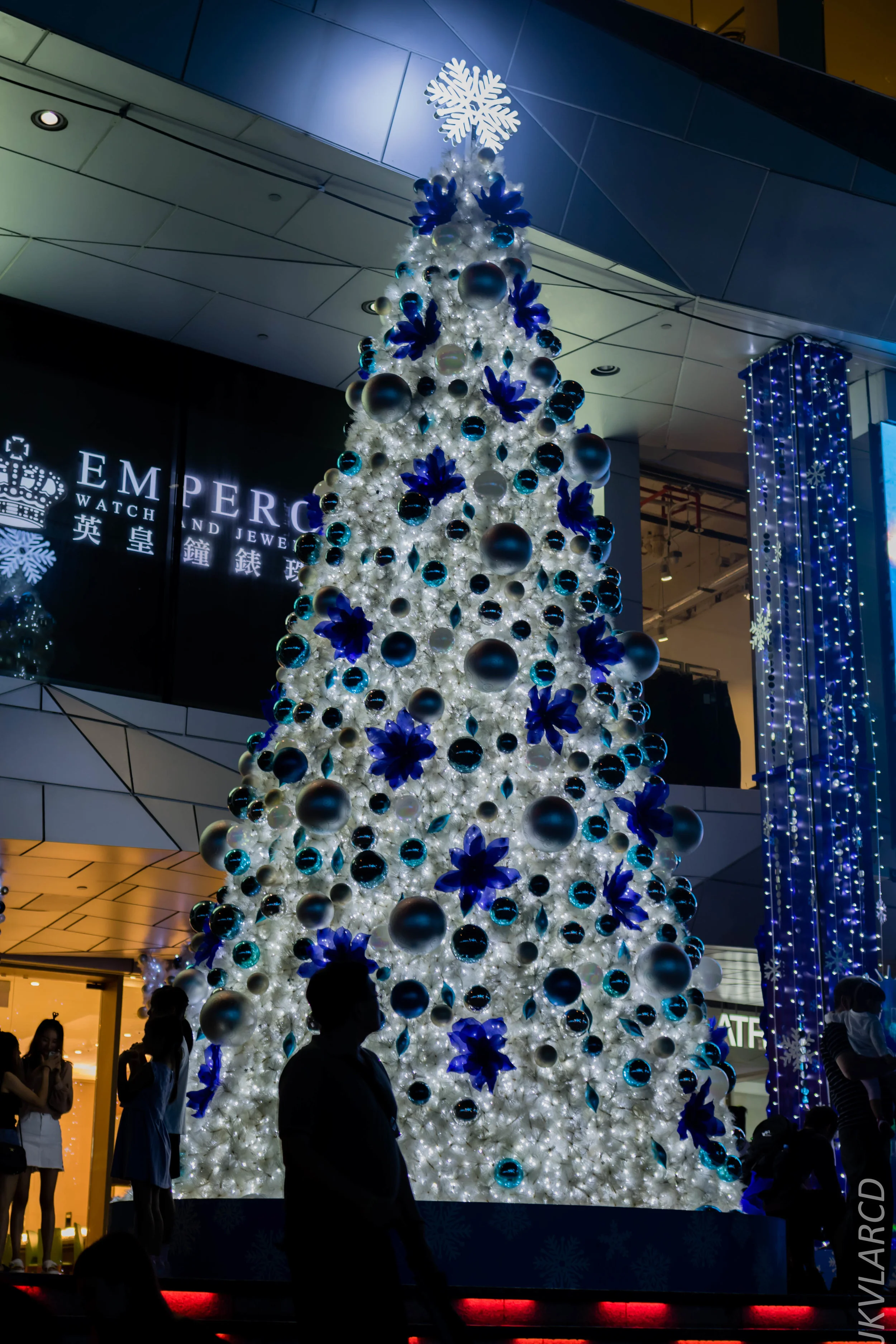 EOS 7D Mark II_2018_12_01_9989.jpg