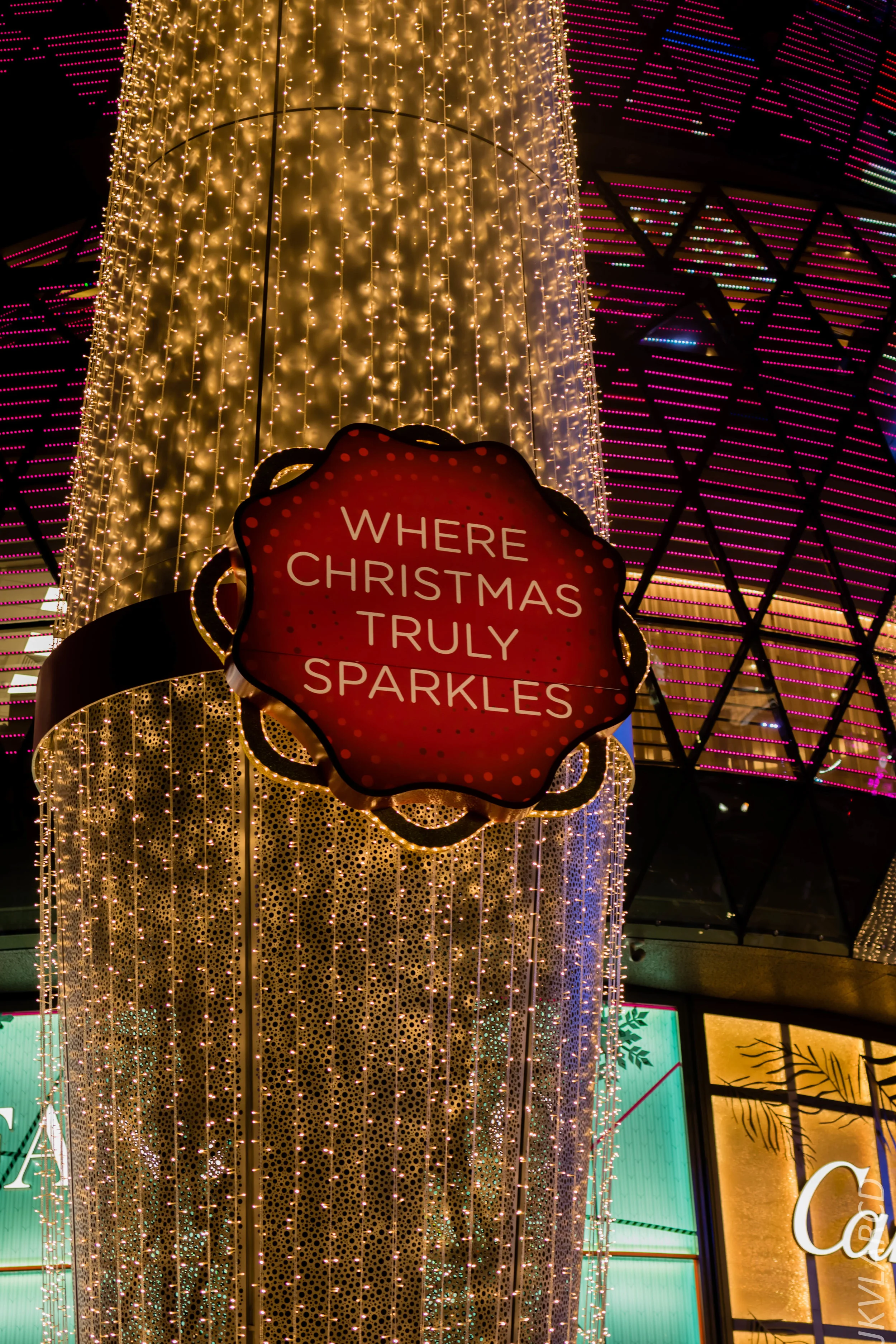 EOS 7D Mark II_2018_12_01_0005.jpg