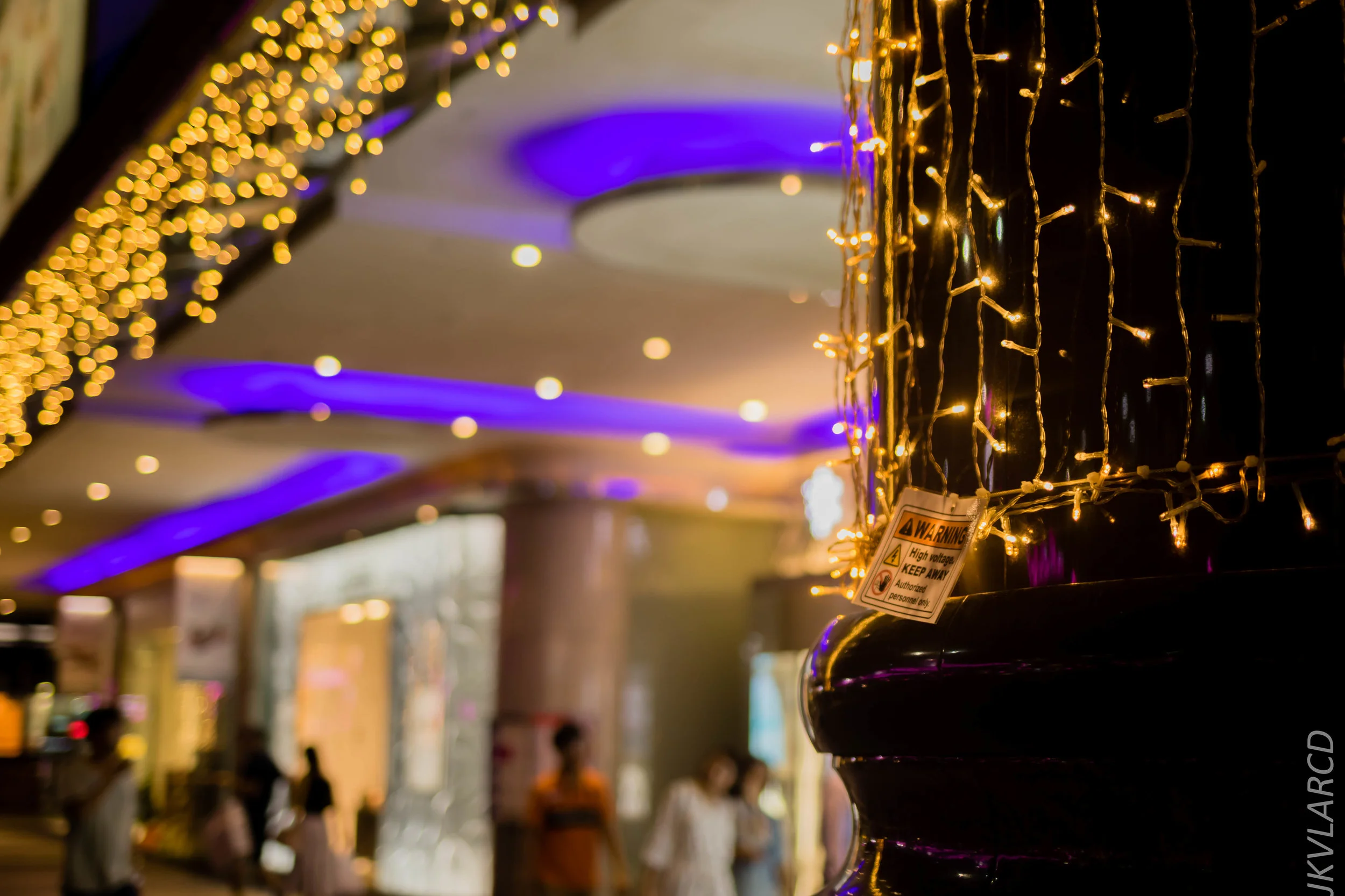 EOS 7D Mark II_2018_12_01_0046.jpg