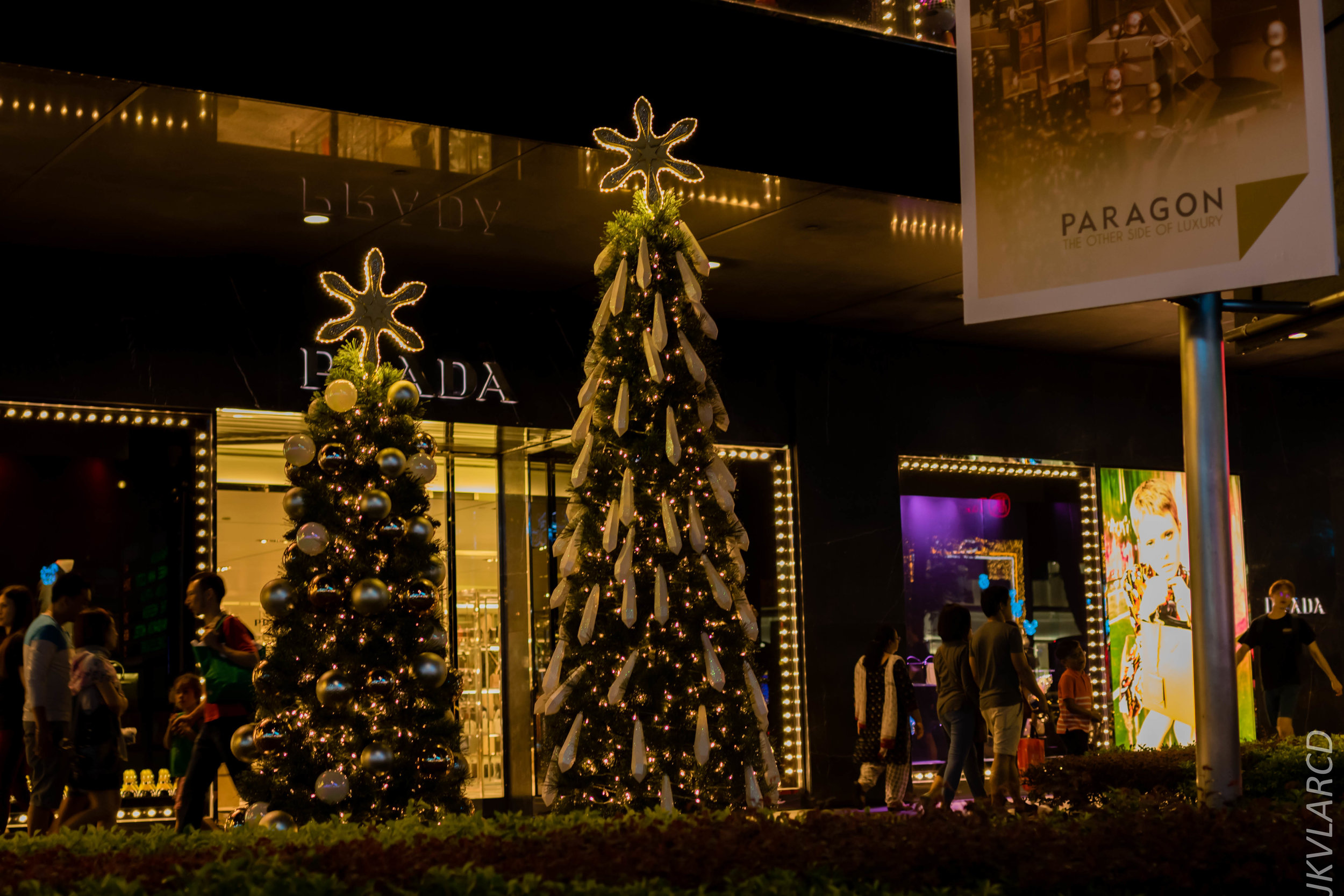 EOS 7D Mark II_2018_12_01_0057.jpg