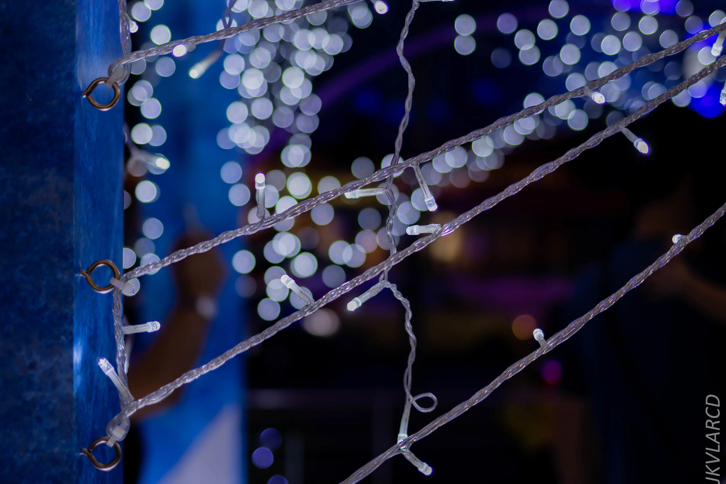 EOS 7D Mark II_2018_12_01_0092.jpg