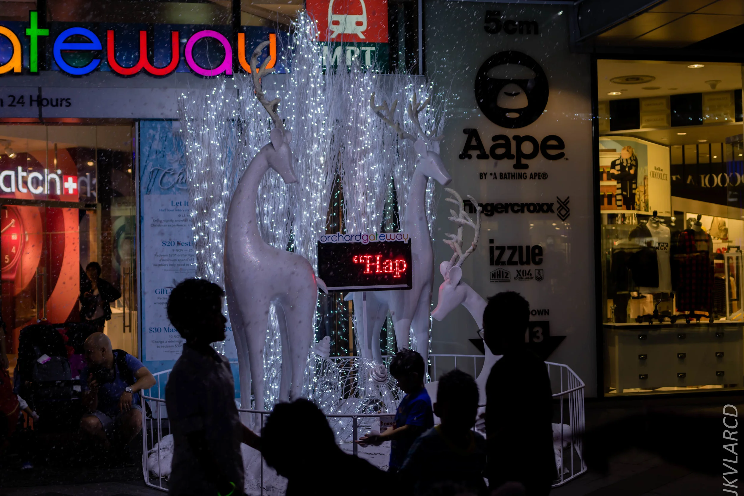 EOS 7D Mark II_2018_12_01_0109.jpg