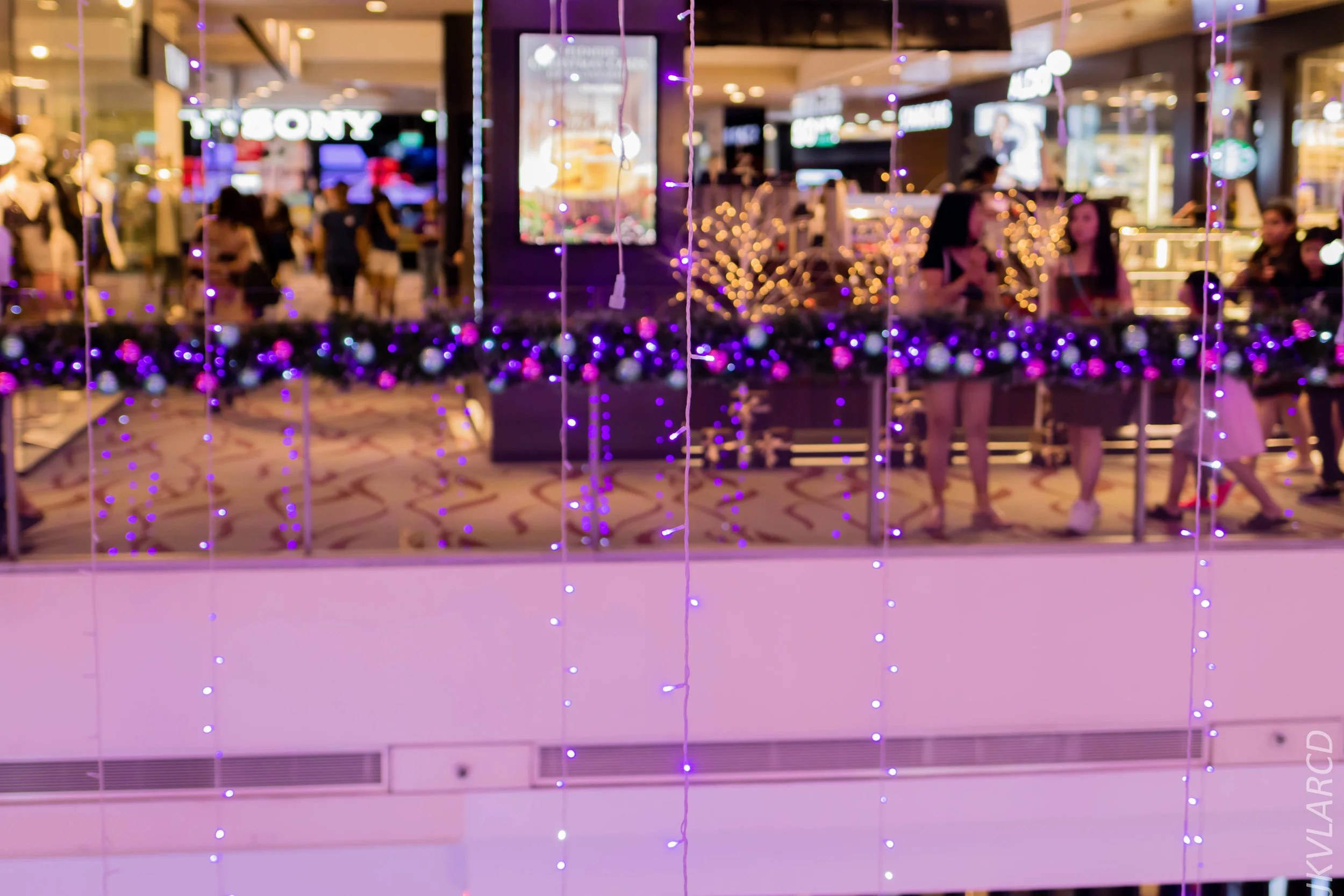 EOS 7D Mark II_2018_12_01_0117.jpg