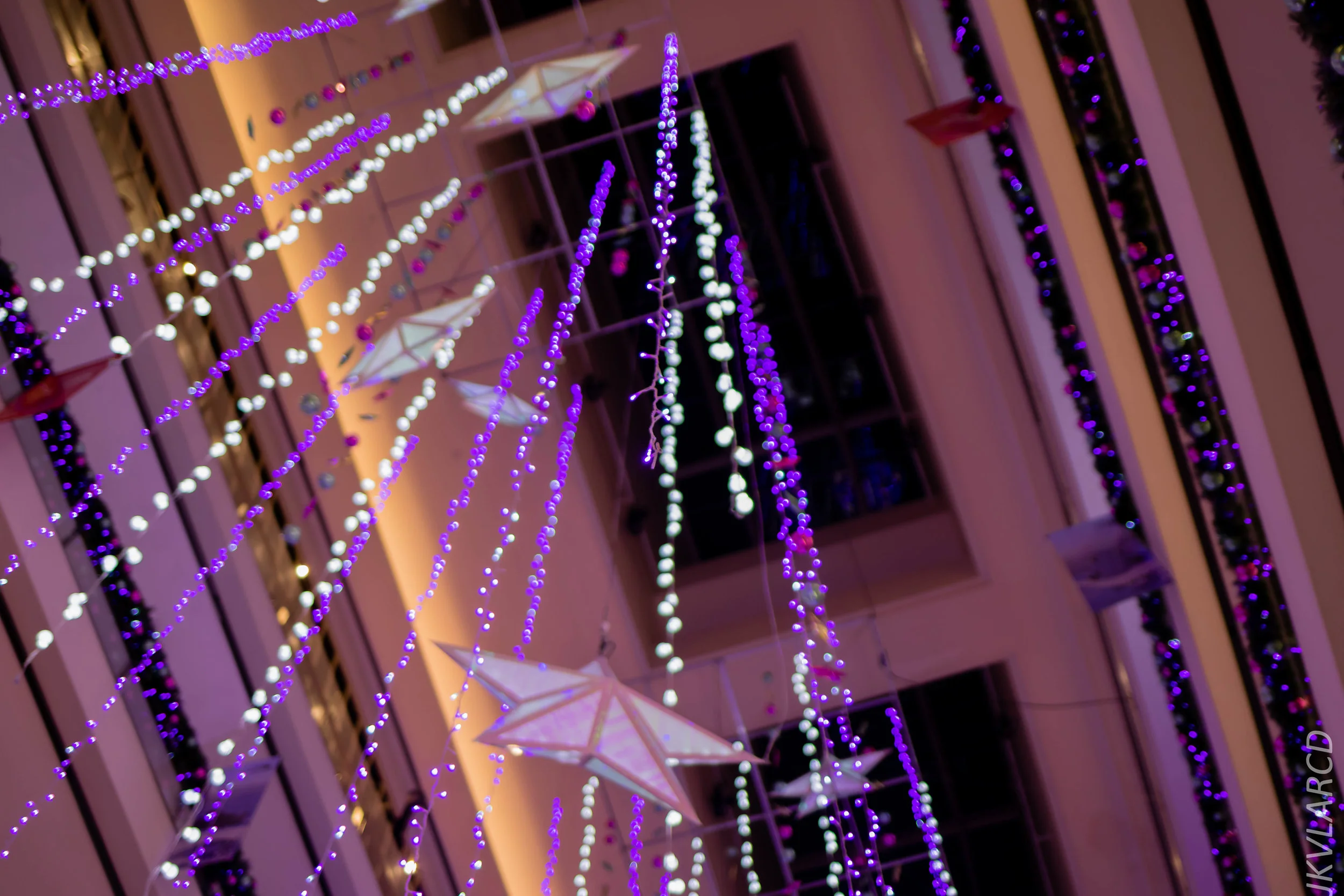 EOS 7D Mark II_2018_12_01_0123.jpg