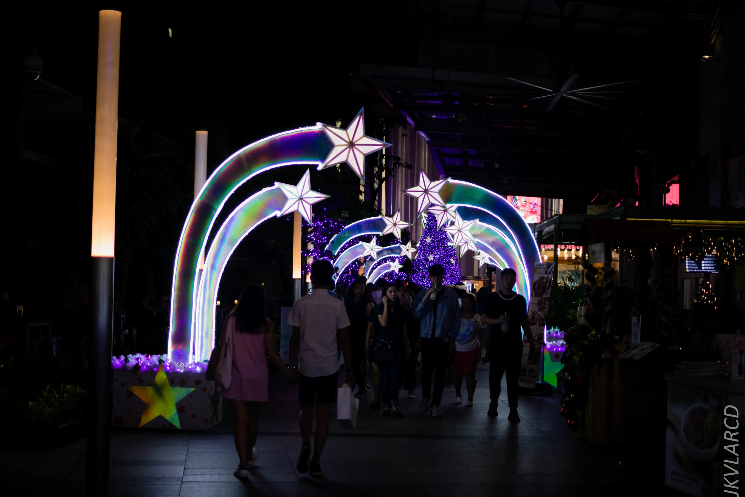 EOS 7D Mark II_2018_12_01_0126.jpg