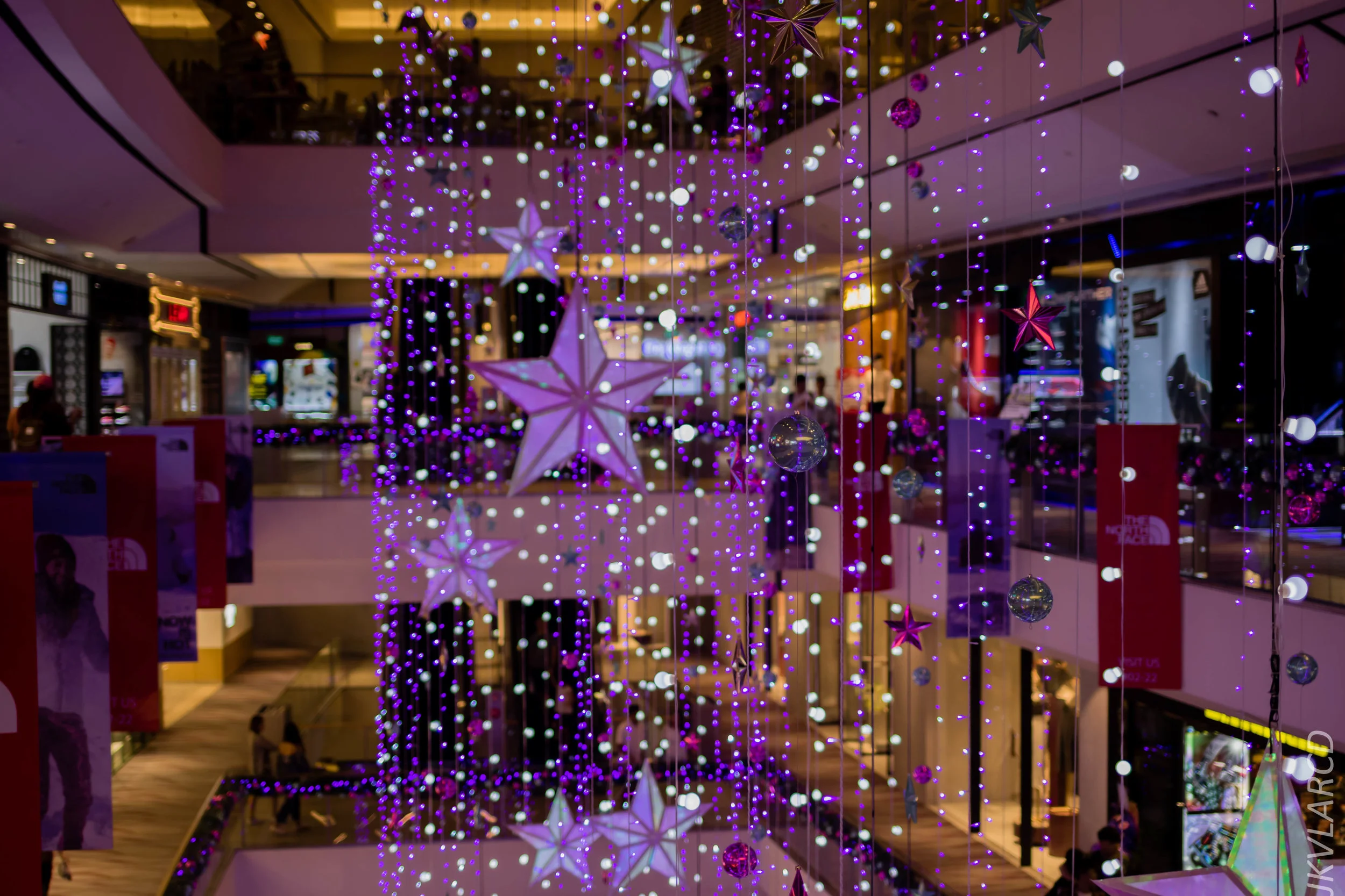 EOS 7D Mark II_2018_12_01_0130.jpg