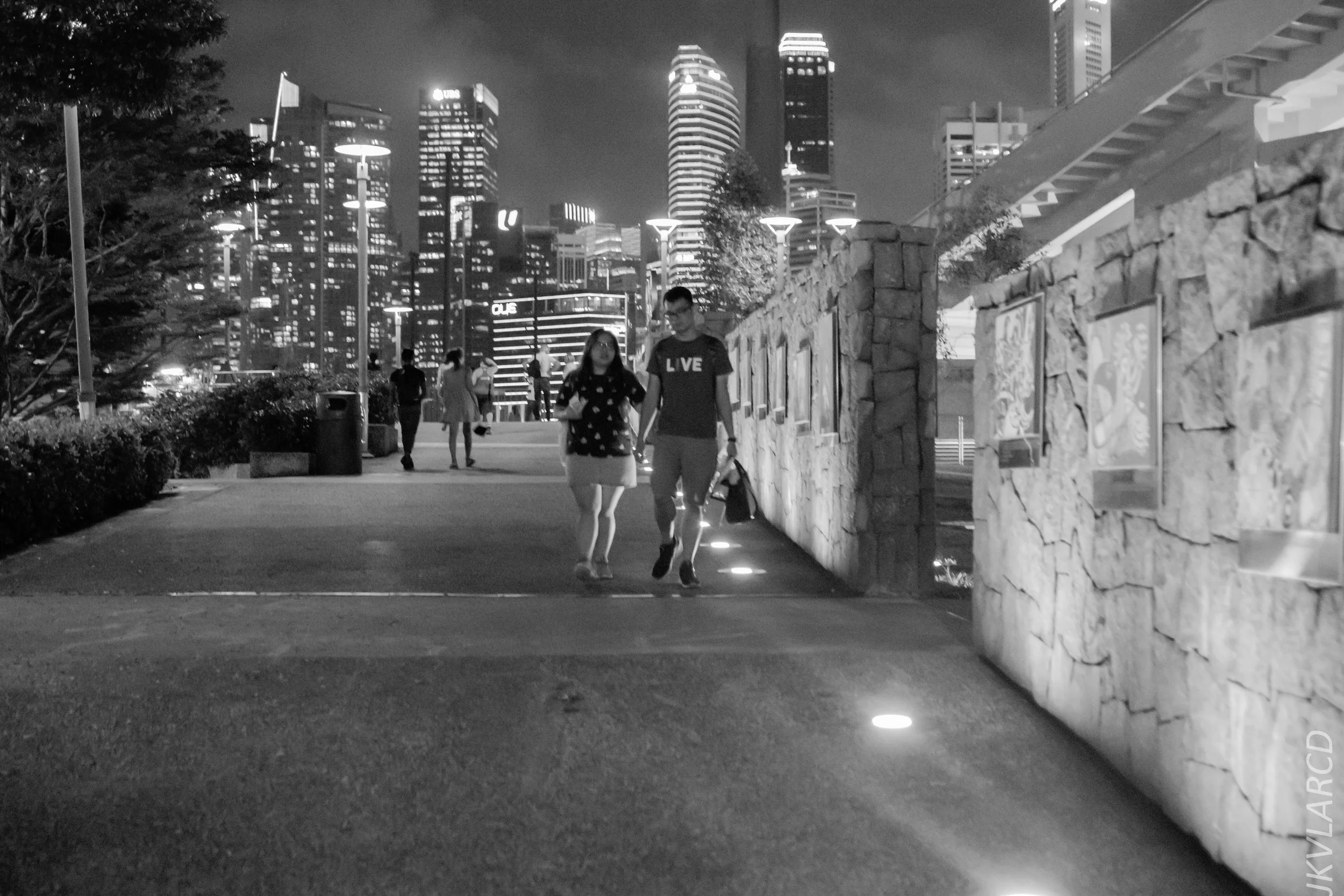 EOS 7D Mark II_2018_12_08_0270.jpg