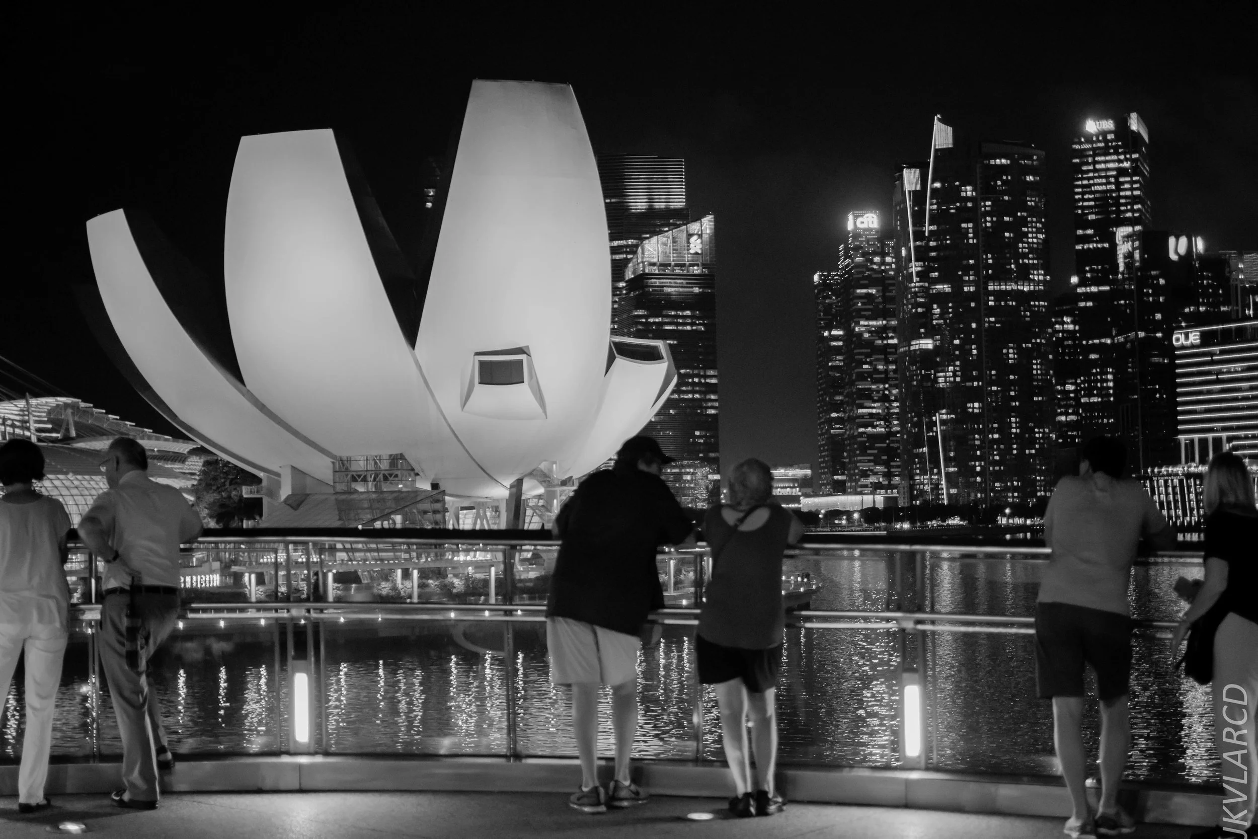 EOS 7D Mark II_2018_12_08_0289.jpg