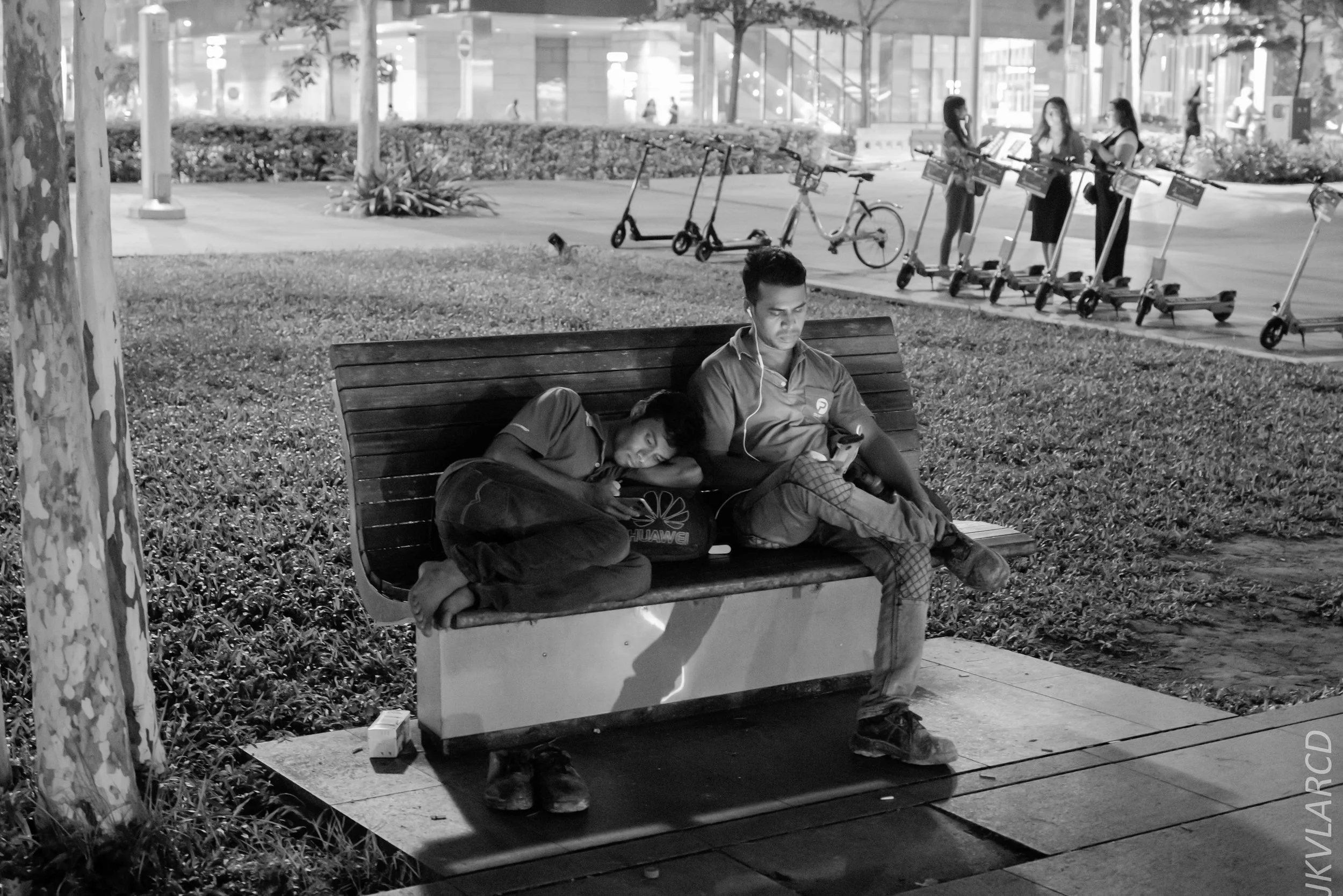 EOS 7D Mark II_2018_12_08_0381.jpg