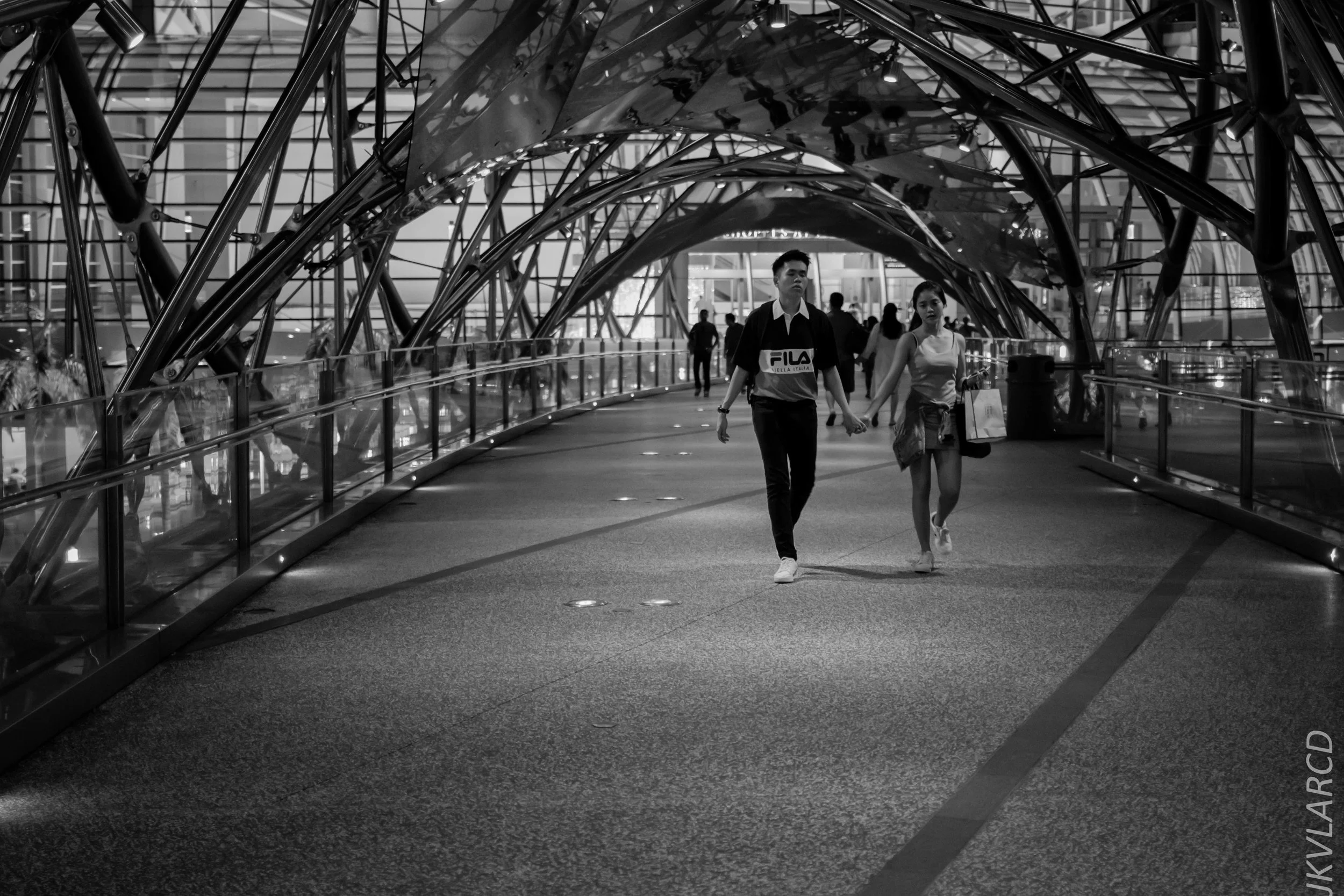 EOS 7D Mark II_2018_12_08_0299.jpg