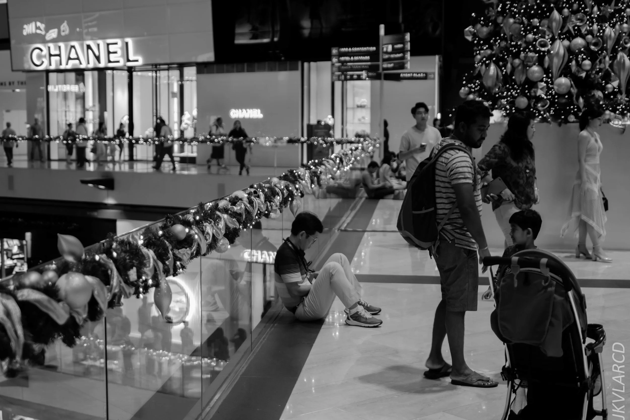 EOS 7D Mark II_2018_12_08_0319.jpg