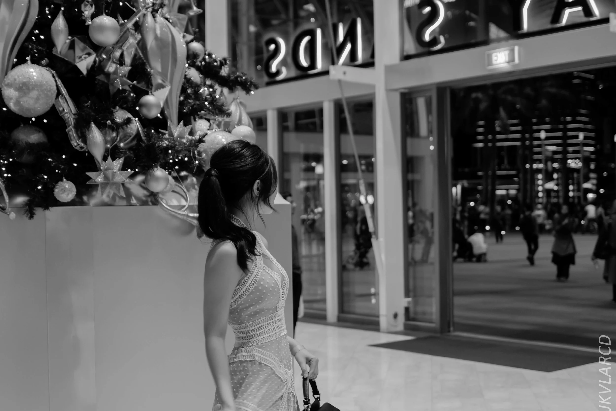 EOS 7D Mark II_2018_12_08_0327.jpg