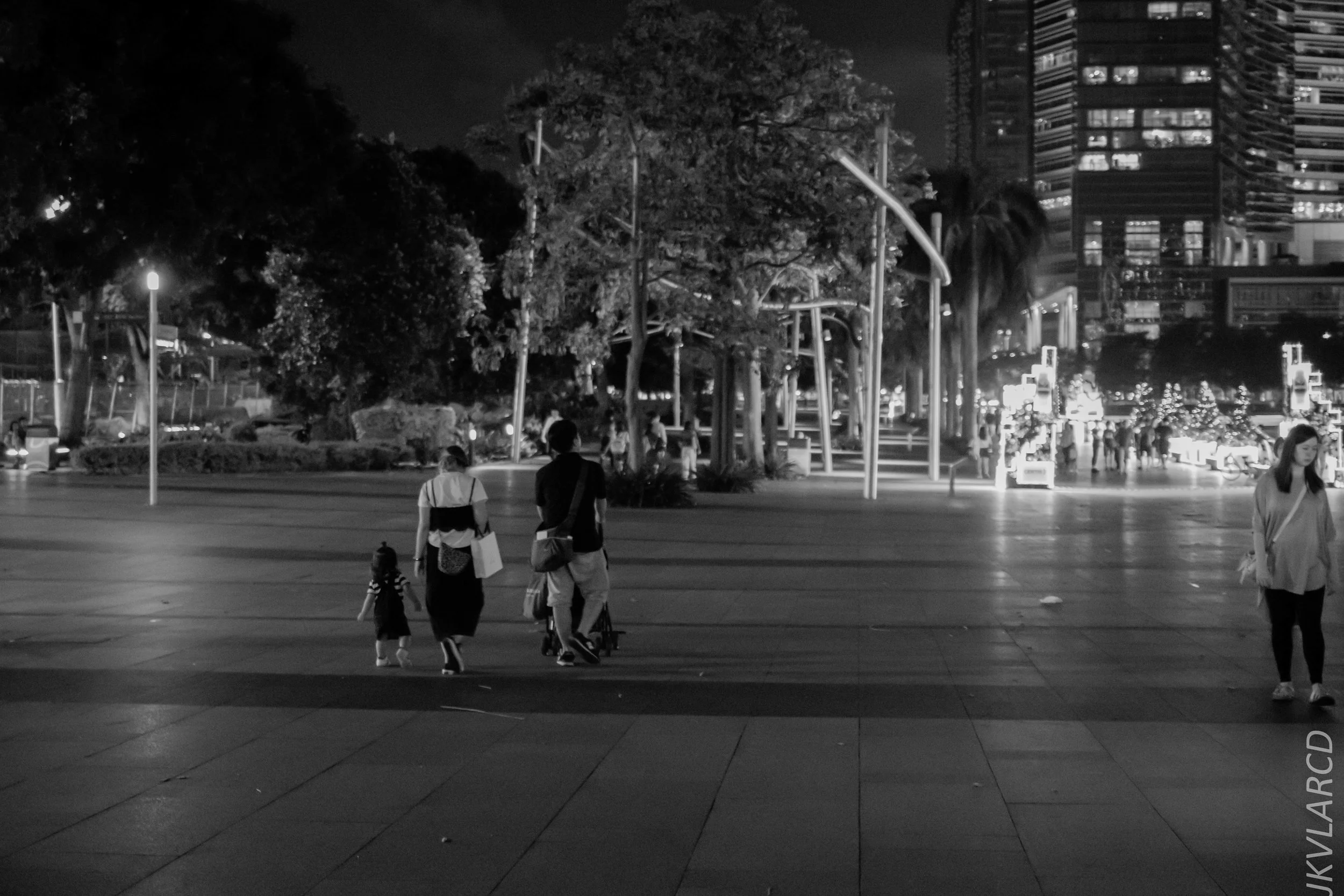 EOS 7D Mark II_2018_12_08_0332.jpg