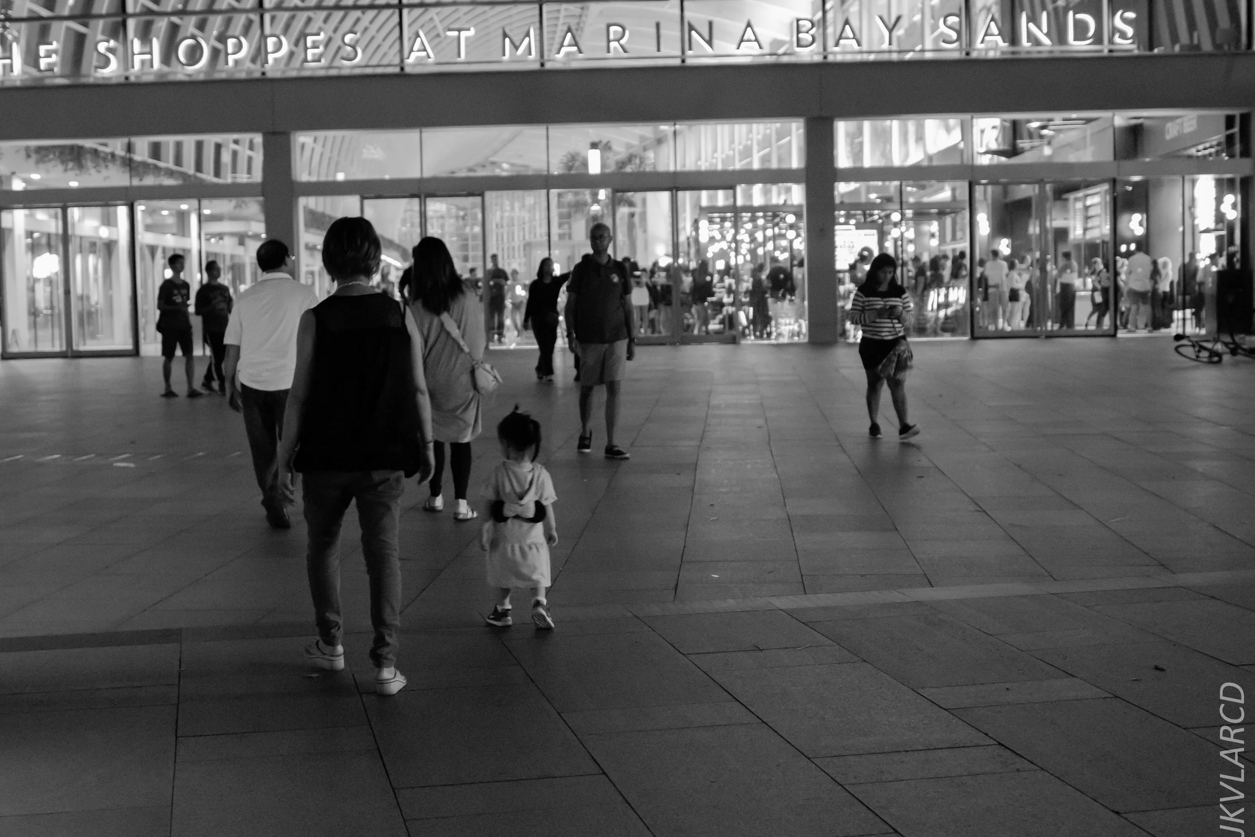 EOS 7D Mark II_2018_12_08_0334.jpg